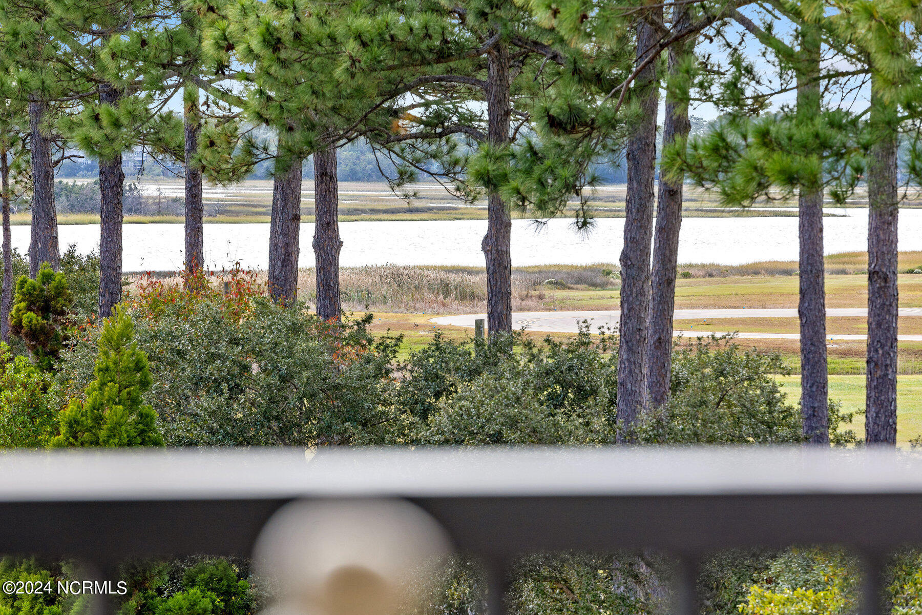 4100 Marsh Grove Lane, Unit 4306