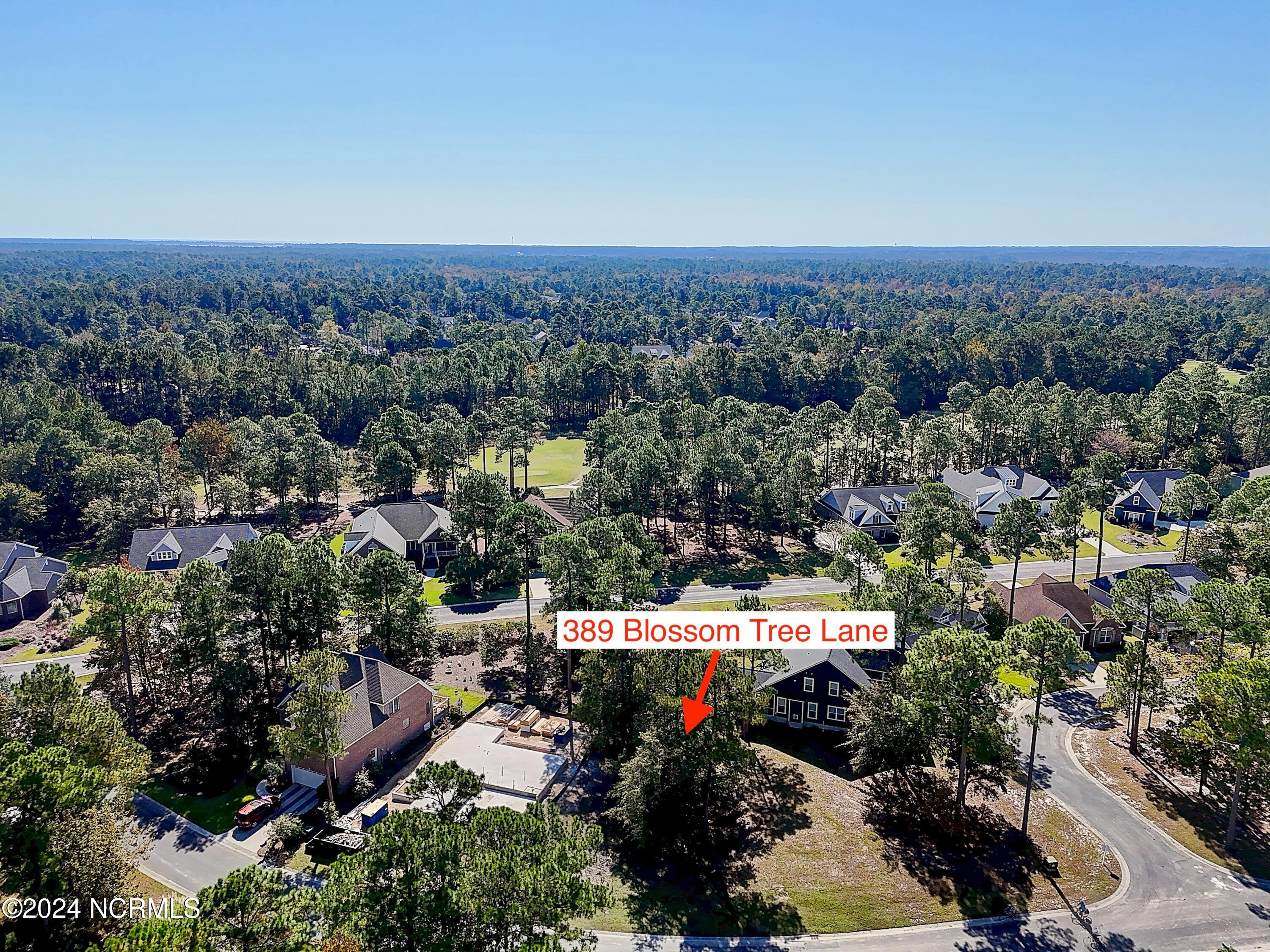 389 34 Blossom Tree Lane SE