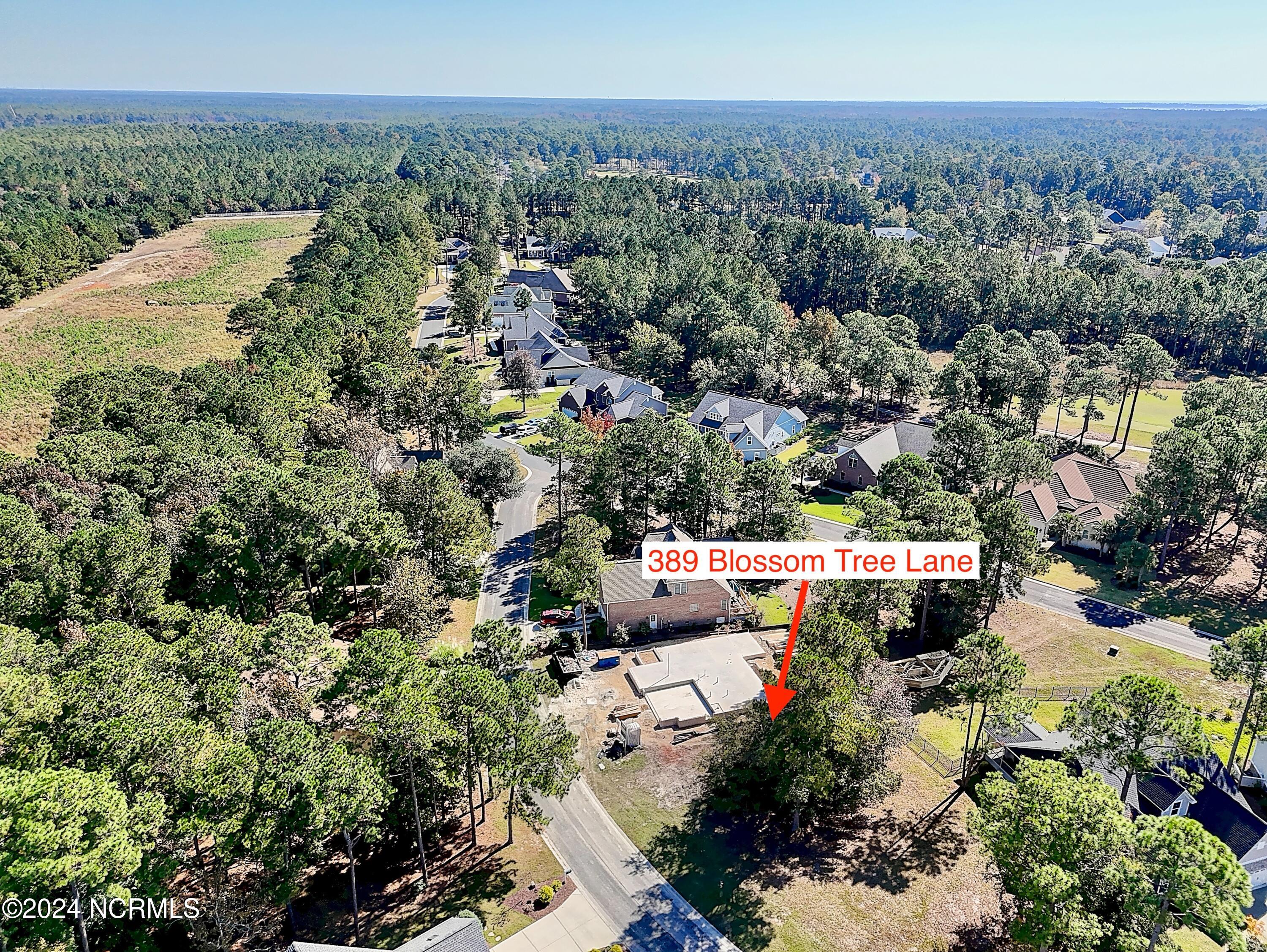 389 34 Blossom Tree Lane SE