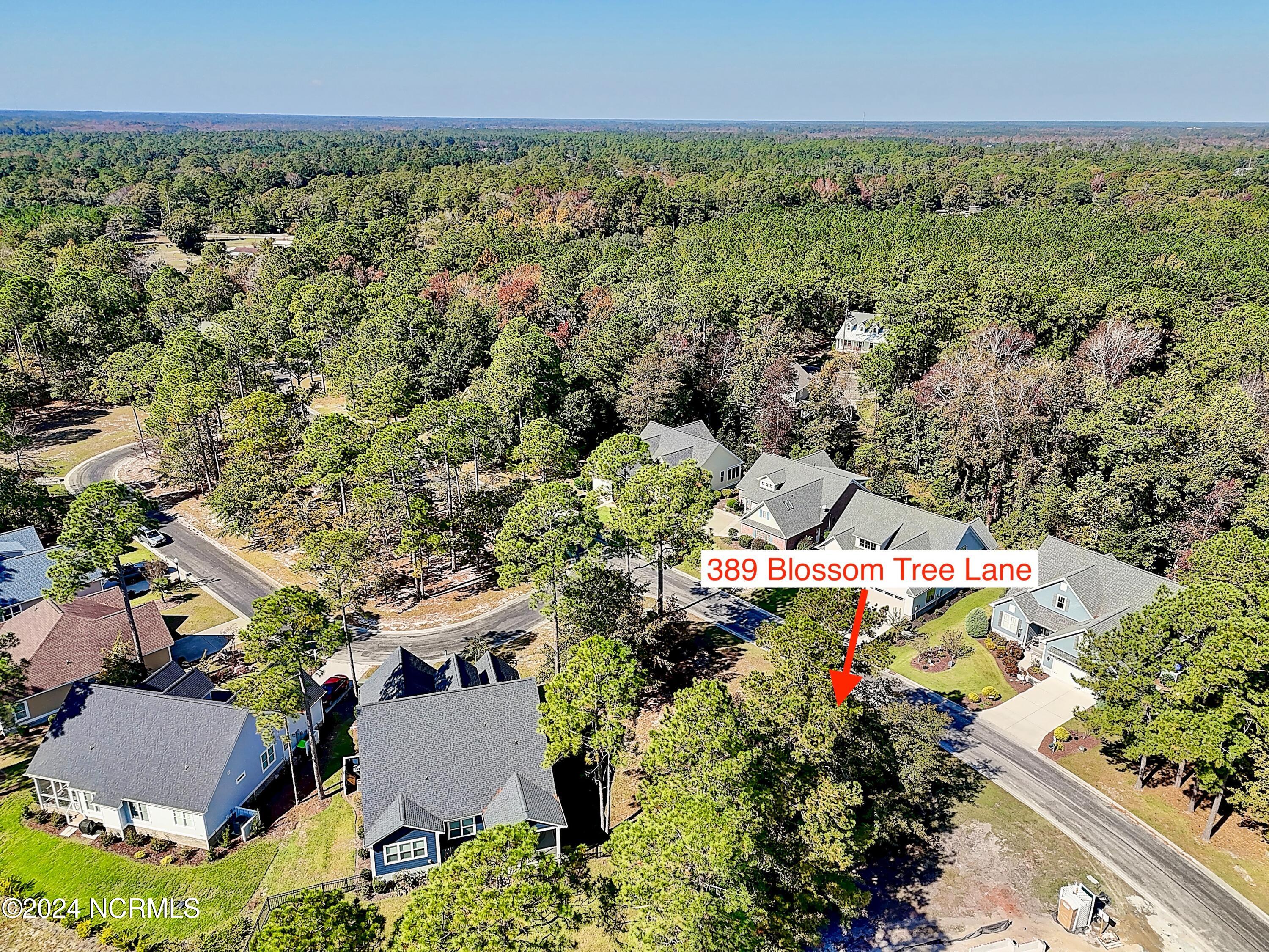 389 34 Blossom Tree Lane SE