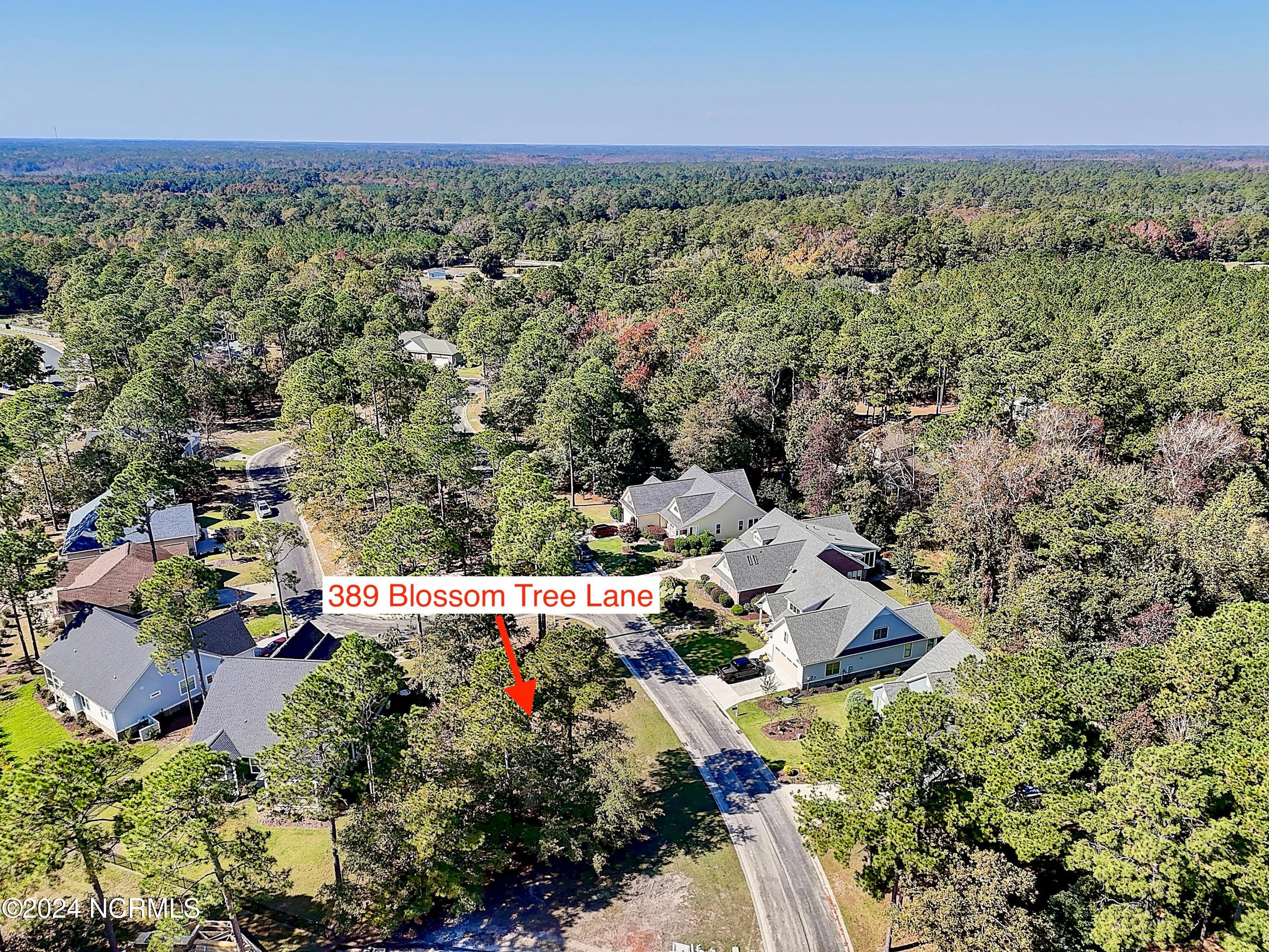 389 34 Blossom Tree Lane SE