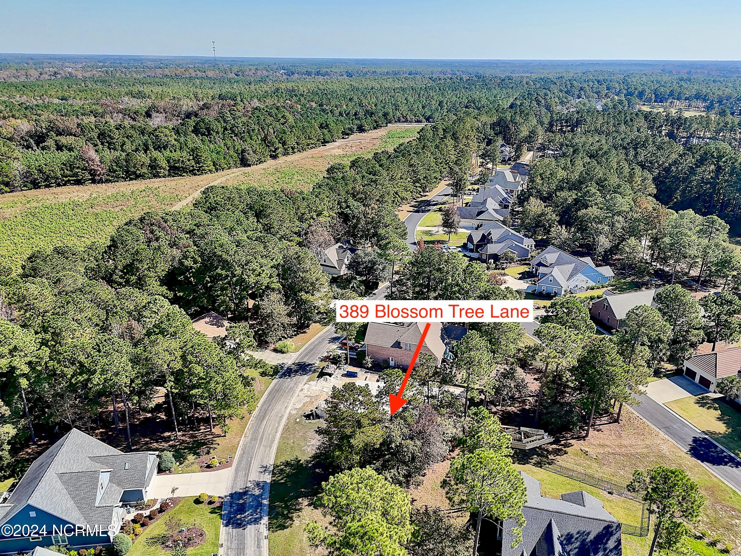 389 34 Blossom Tree Lane SE