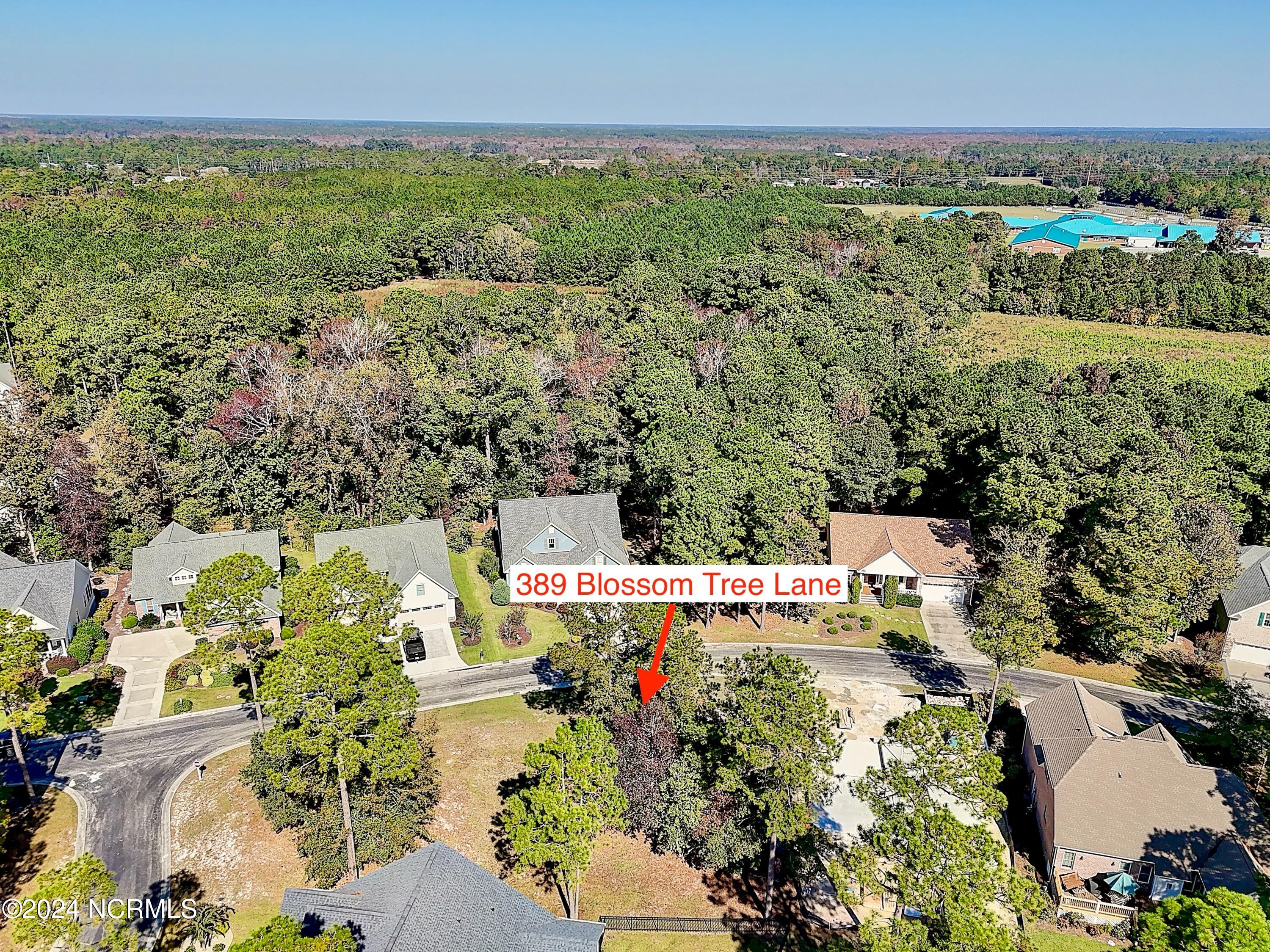 389 34 Blossom Tree Lane SE