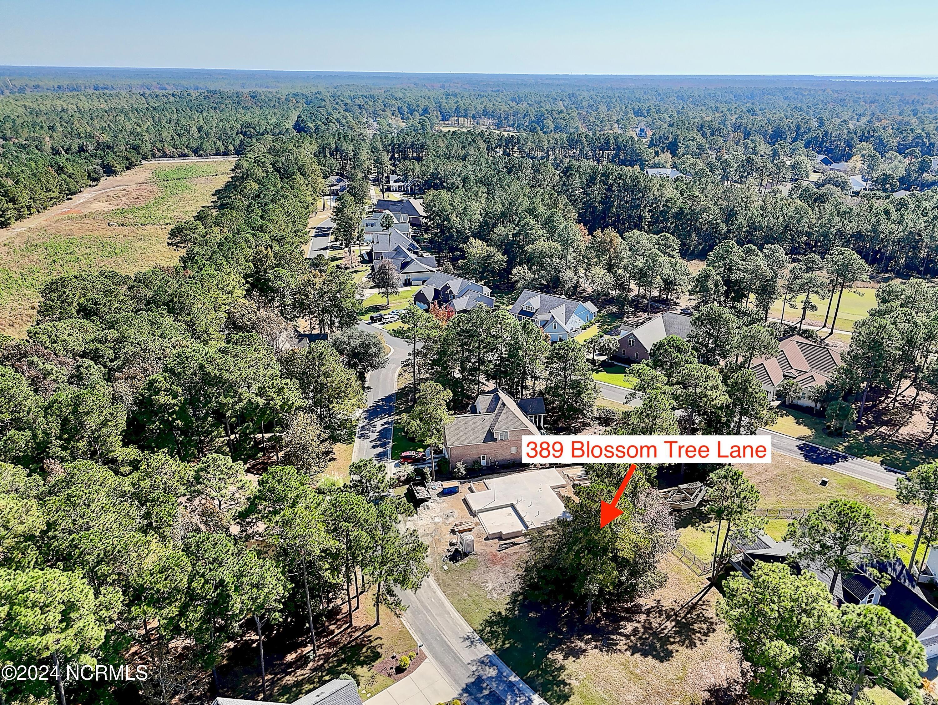 389 34 Blossom Tree Lane SE