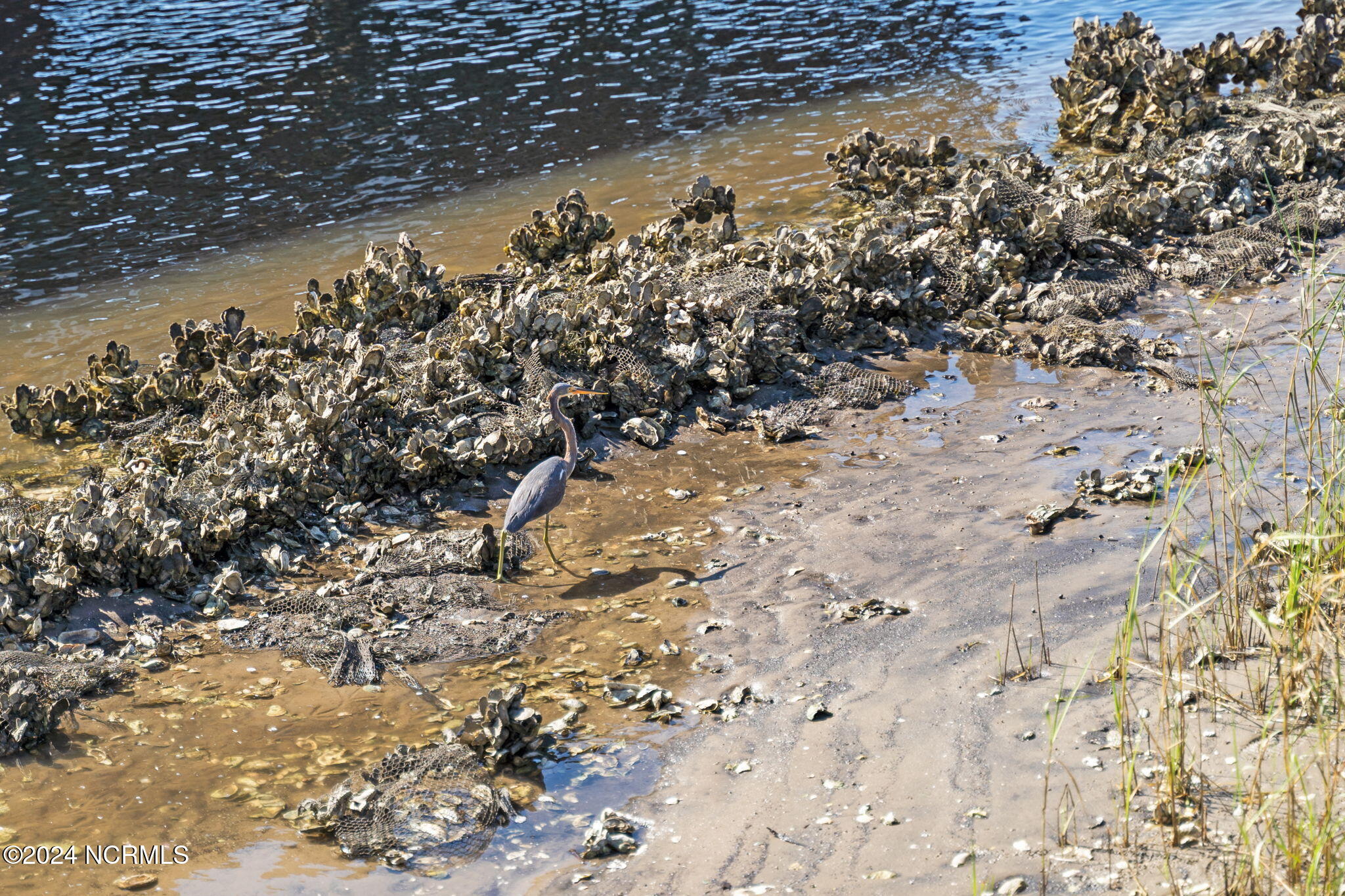 2537 St James Drive, Unit 702