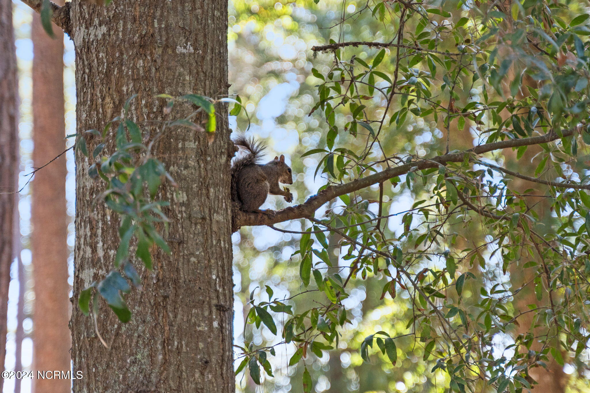 2537 St James Drive, Unit 702