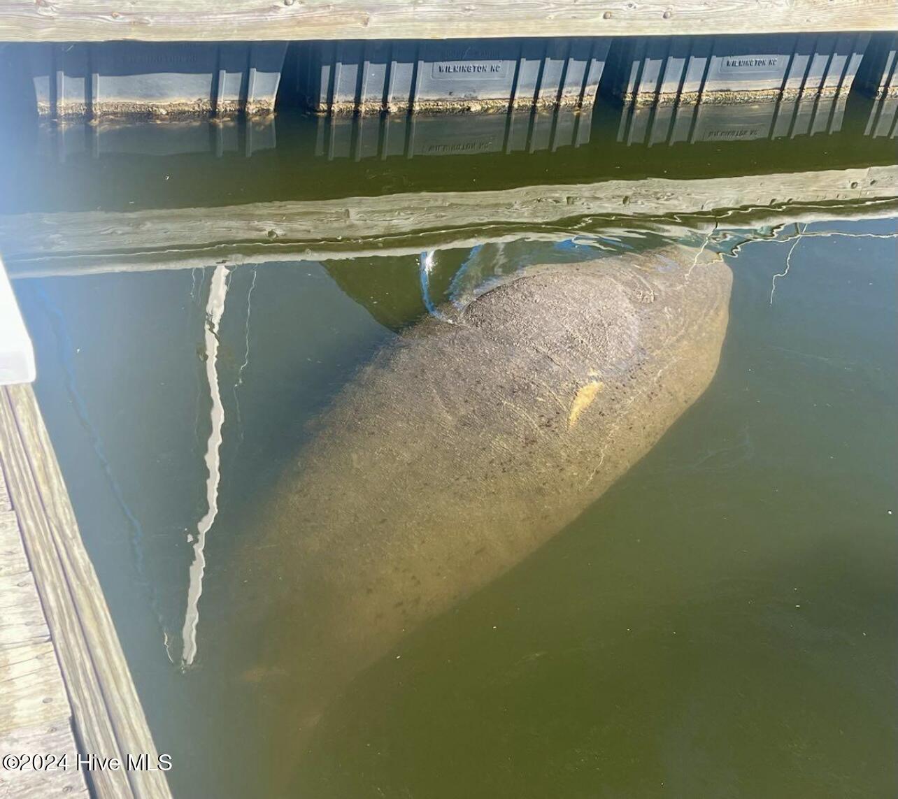 2571 St James Drive SE, C26