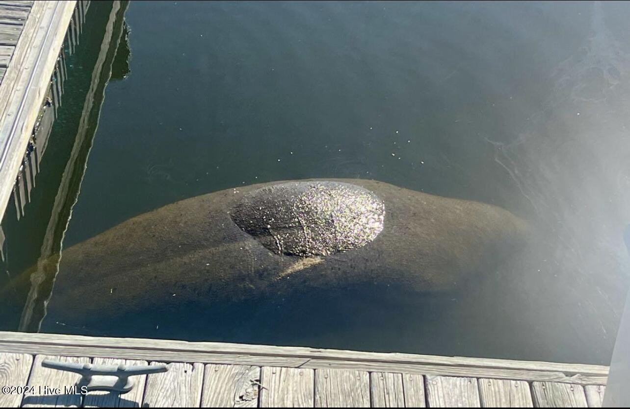 2571 St James Drive SE, C26