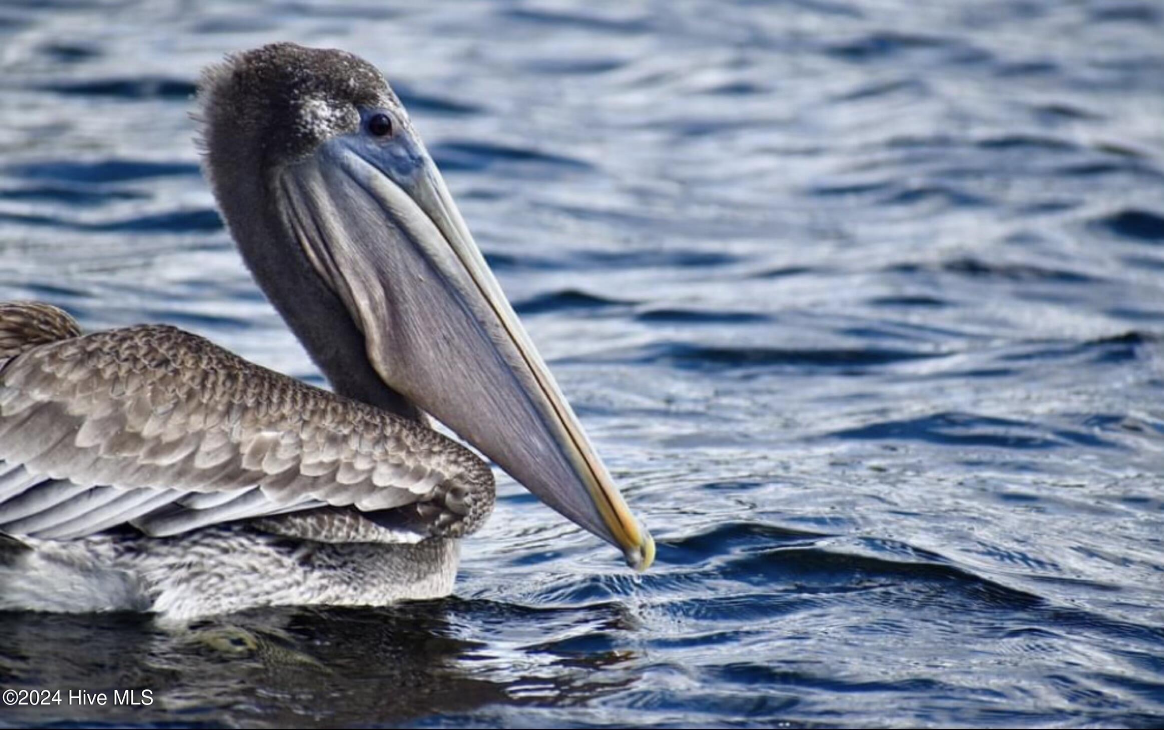 2571 St James Drive SE, C26