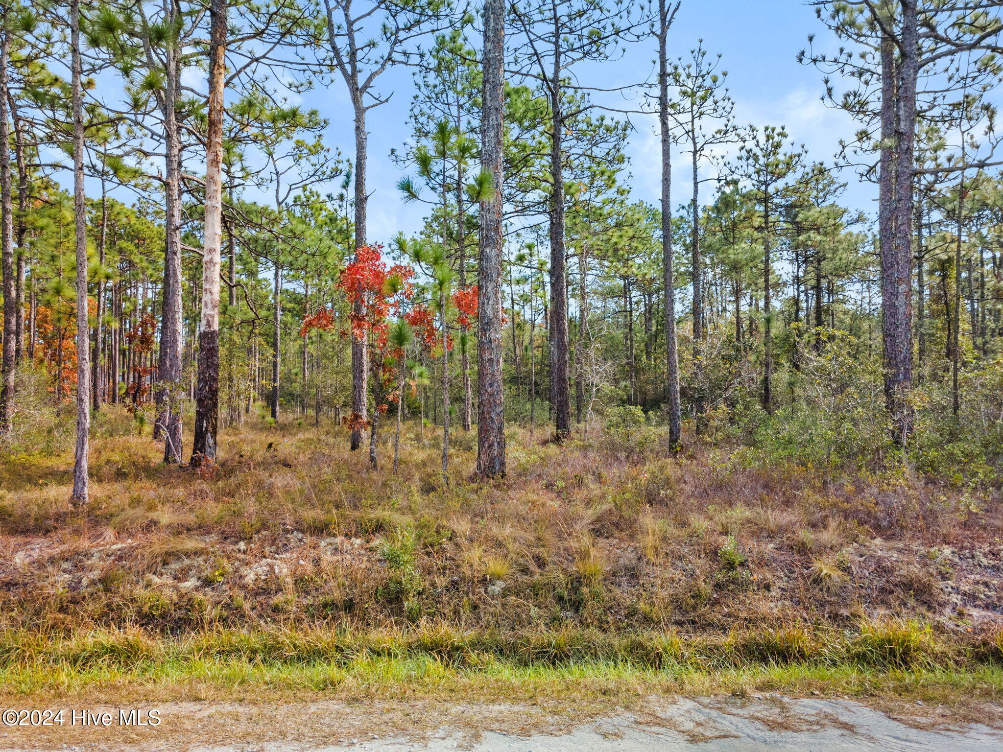 482 & 490 410, 411 Woodhaven Road