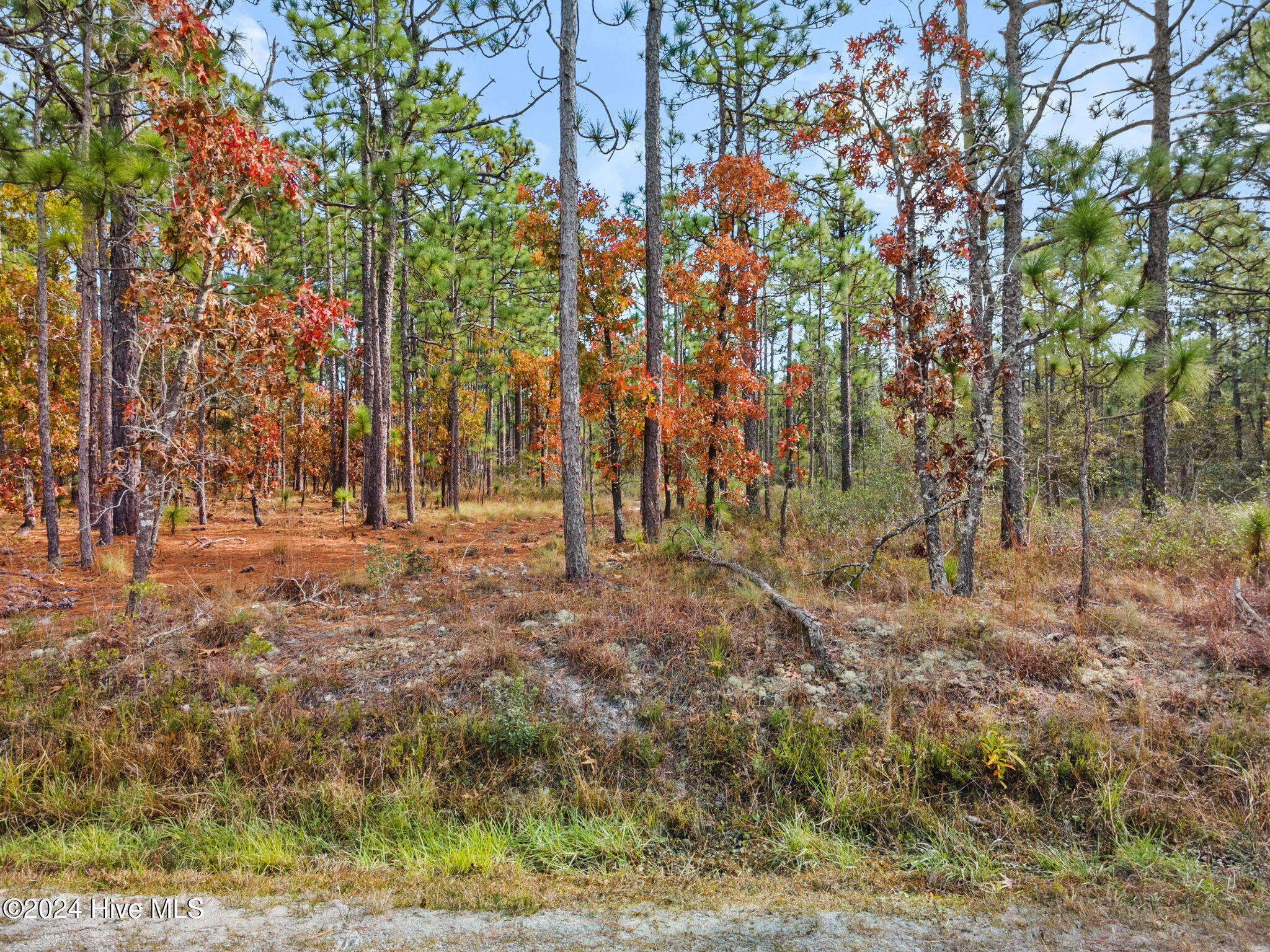 482 & 490 410, 411 Woodhaven Road