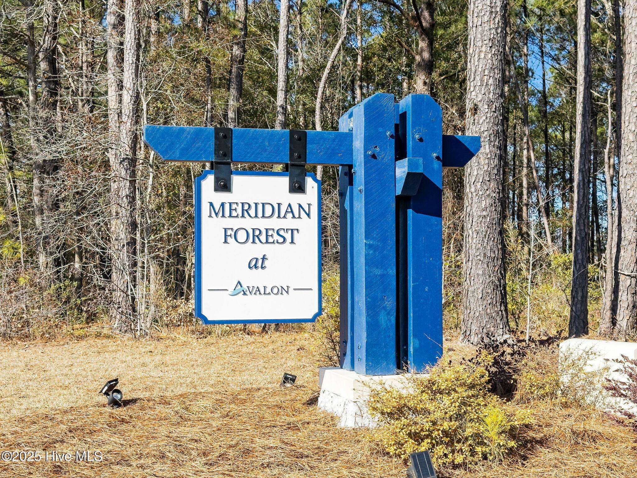 1623 Lightered Knot Court