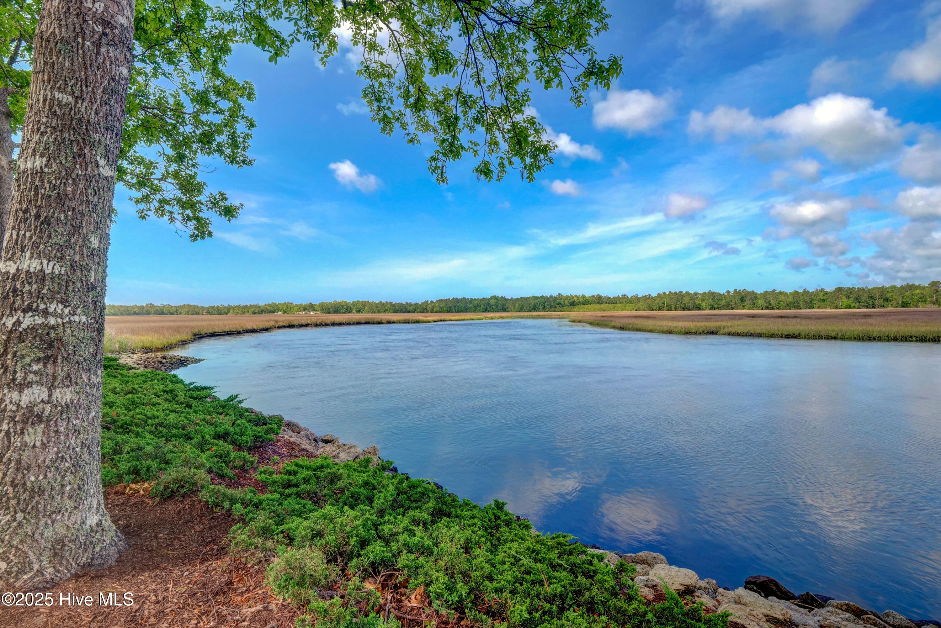 1803 Smoketree Court SE