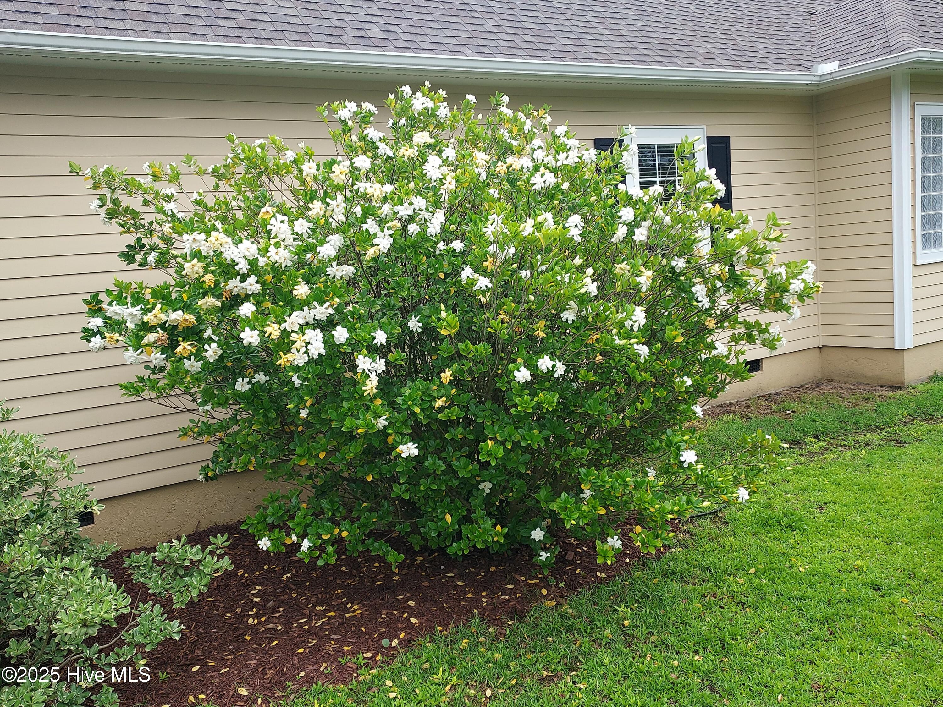 4152 Sheffield Place SE