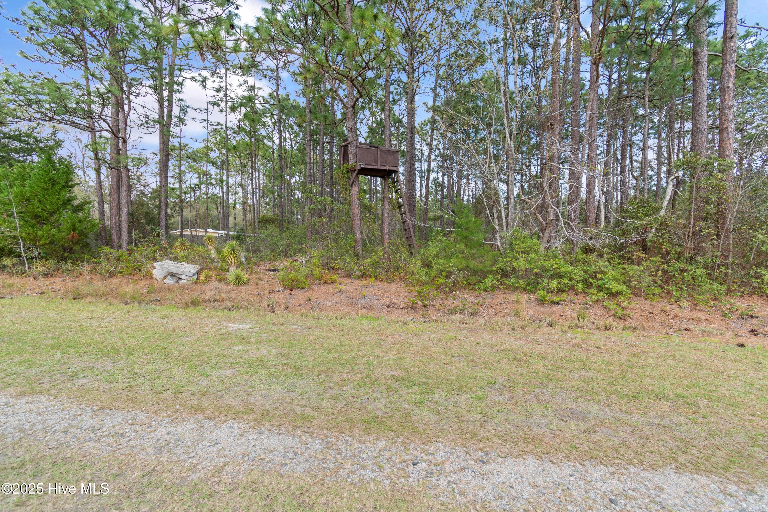 1171 Asheville Lane