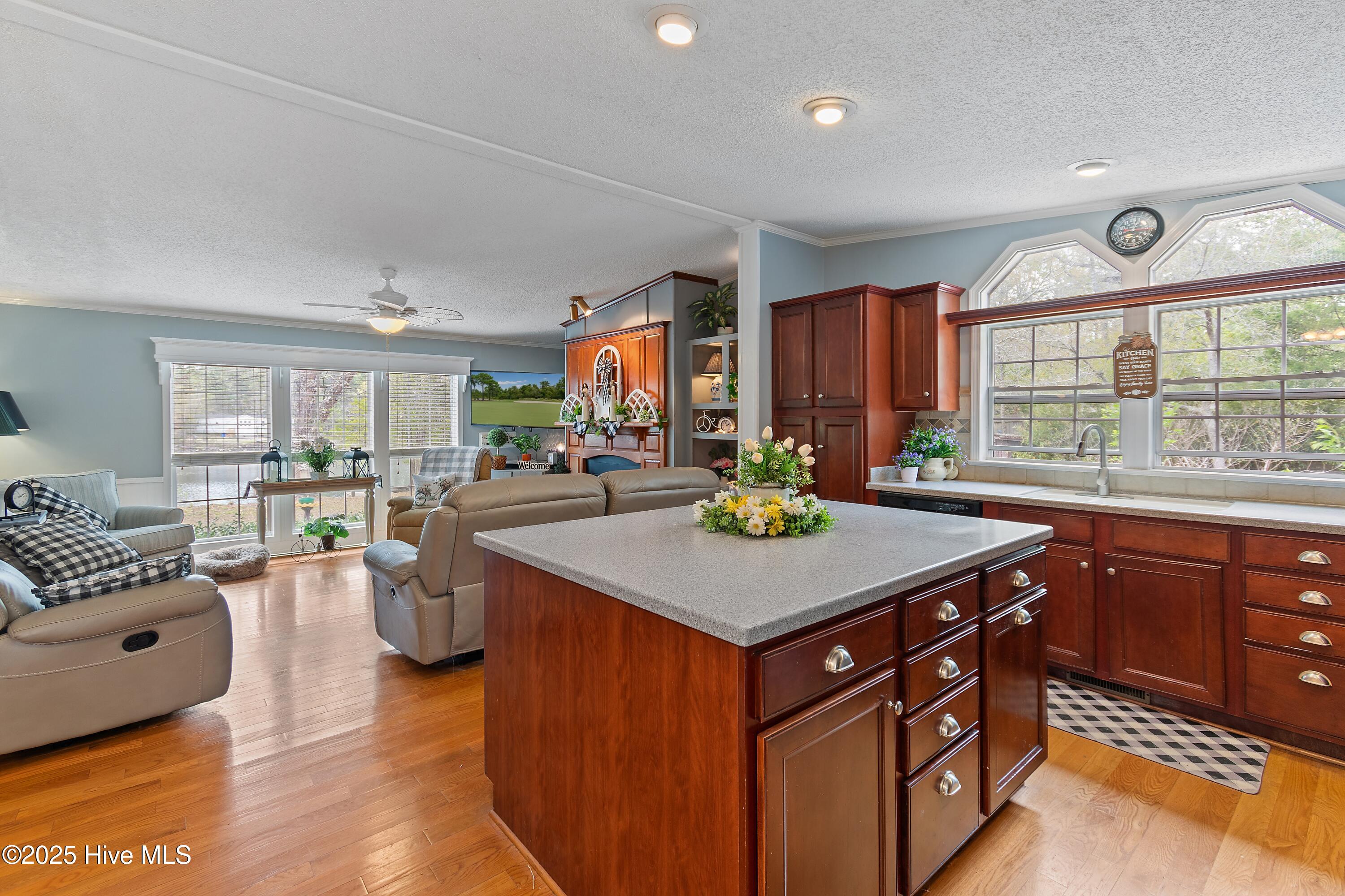 1171 Asheville Lane