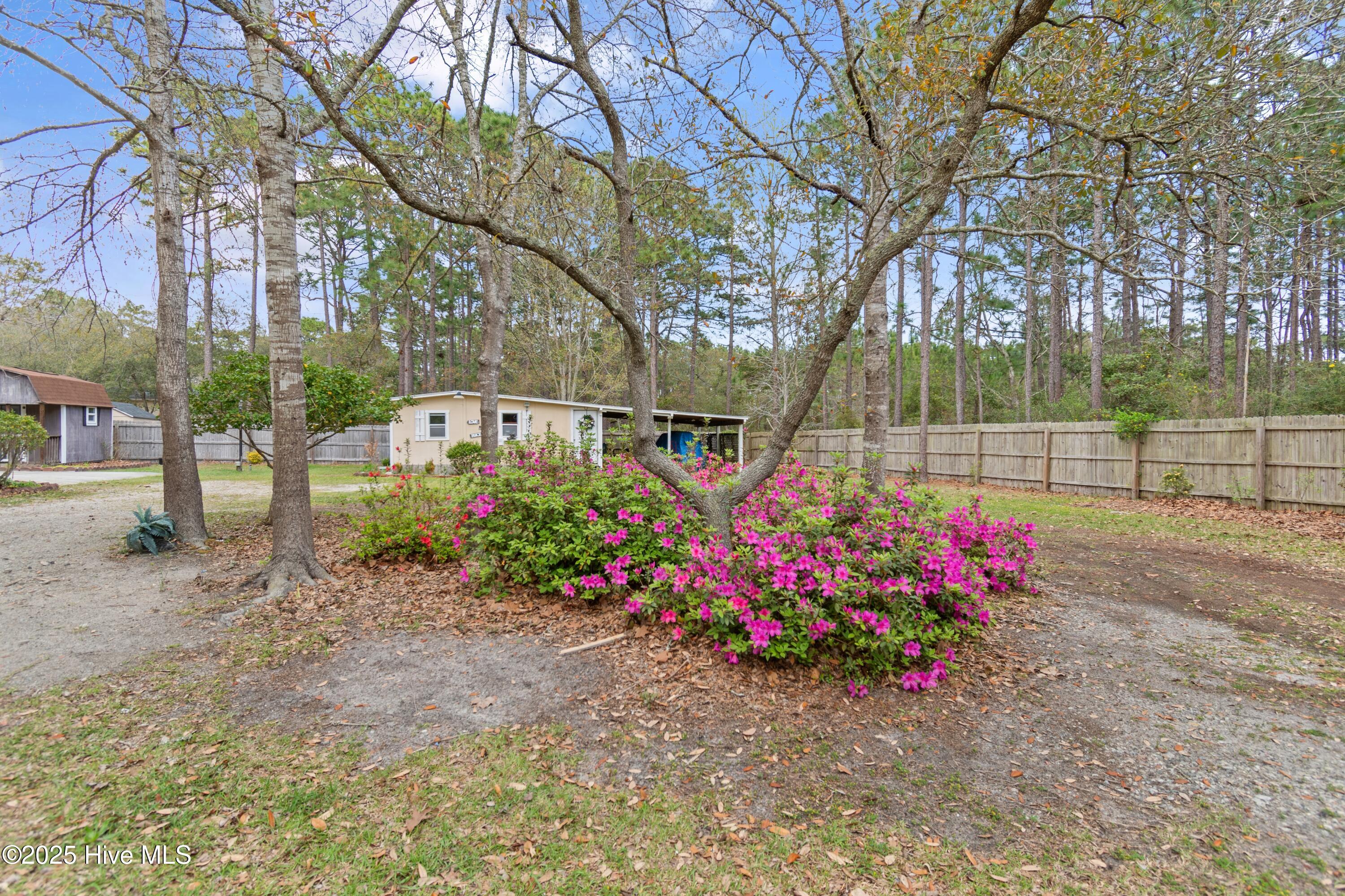1171 Asheville Lane