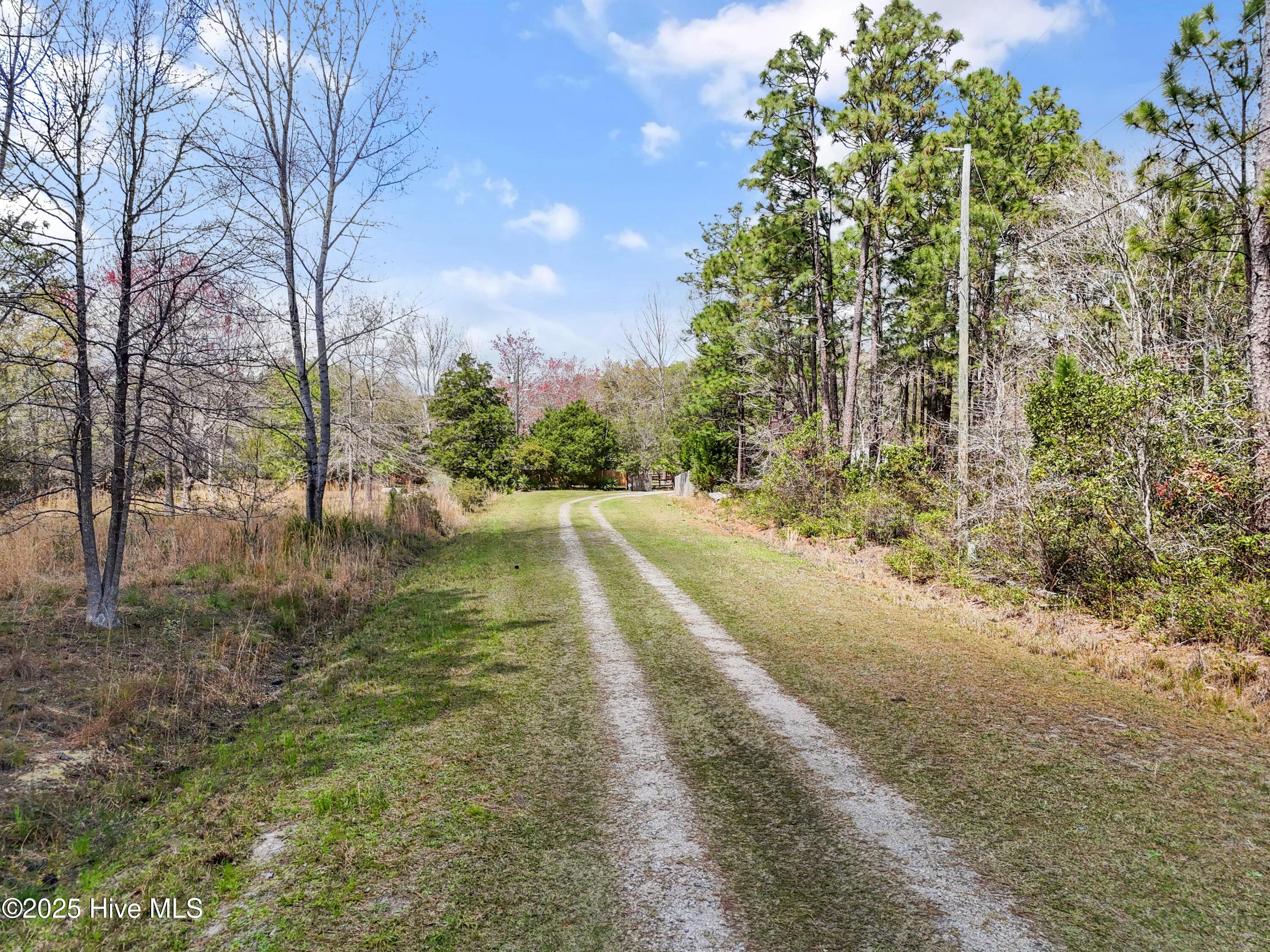 1171 Asheville Lane