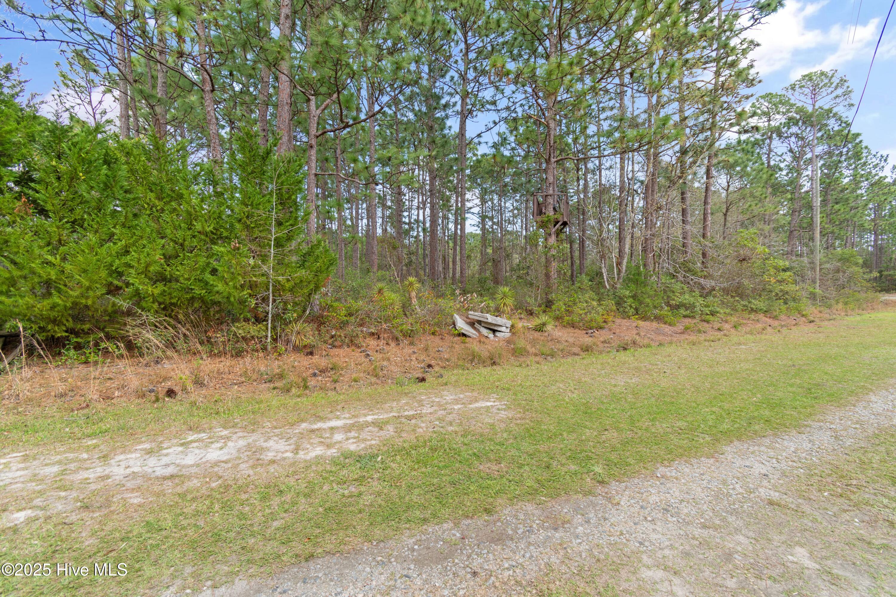 1171 Asheville Lane