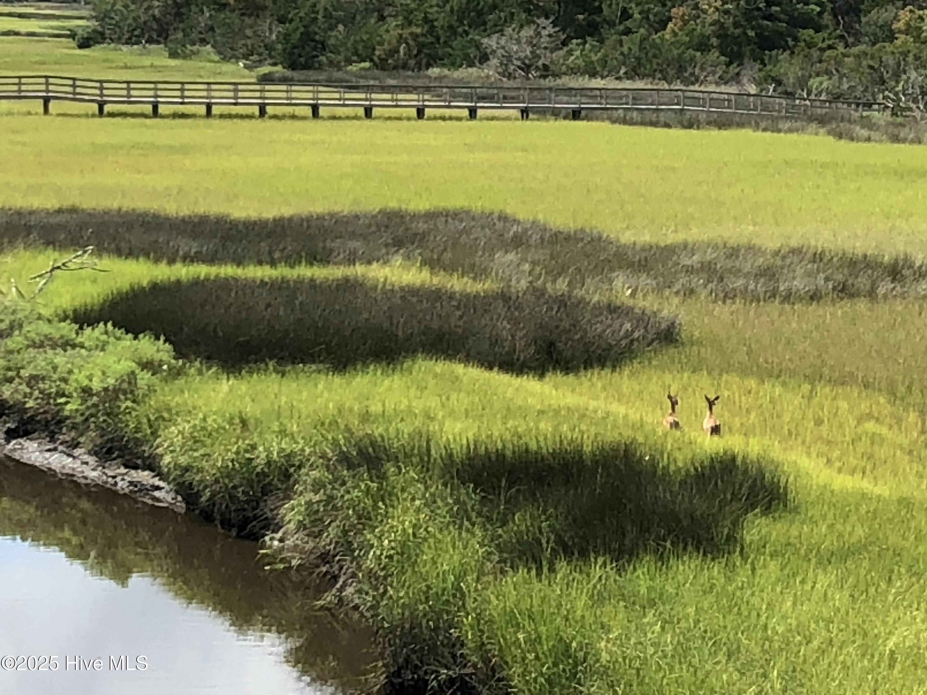 2922 E Pelican Drive