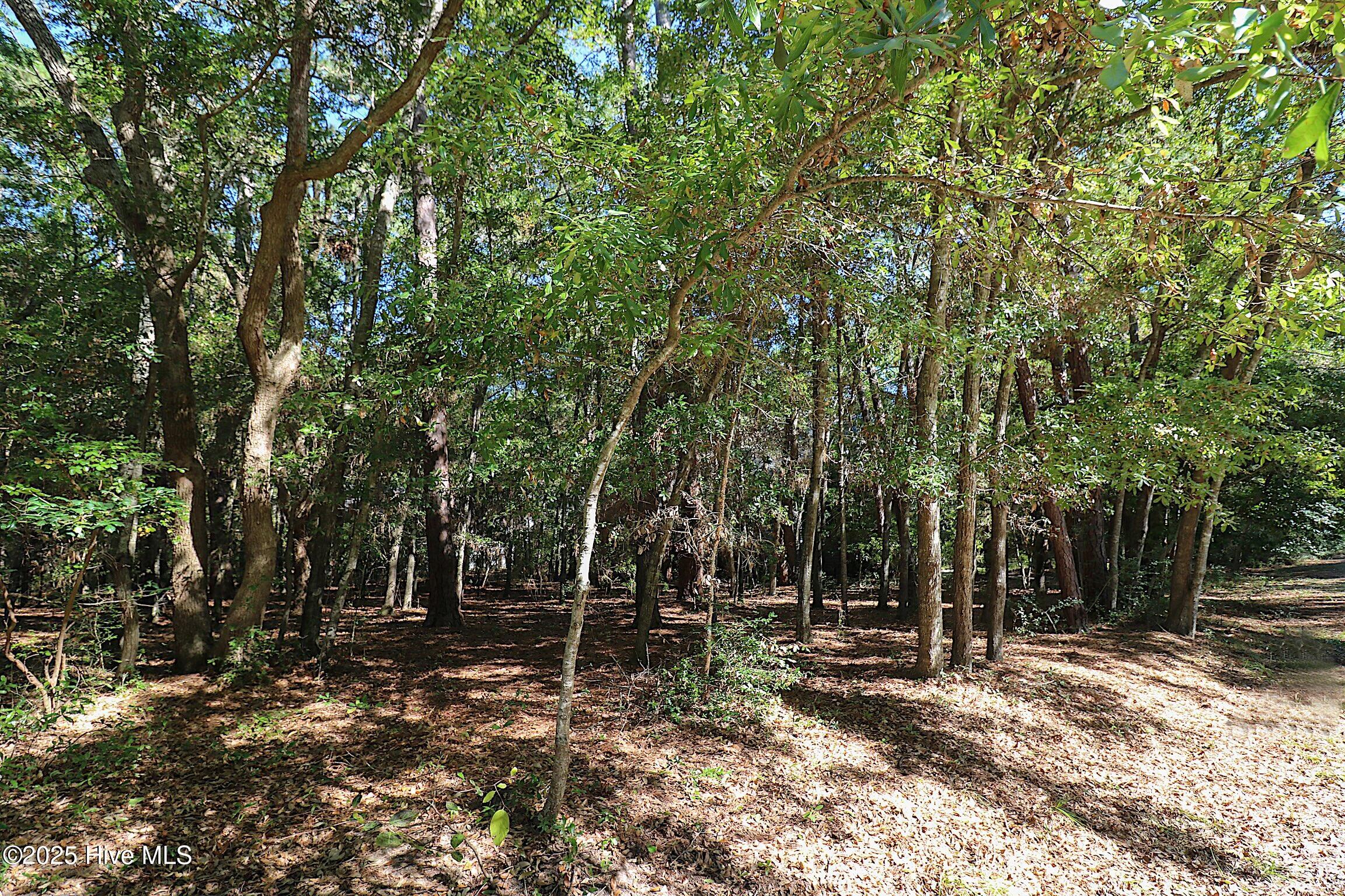 6253 Cattail Court