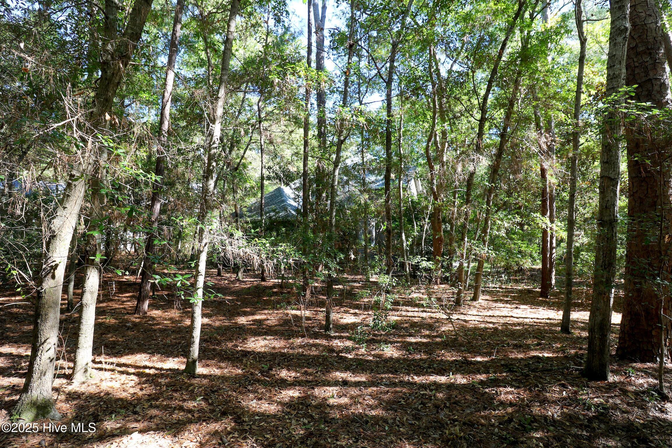 6253 Cattail Court