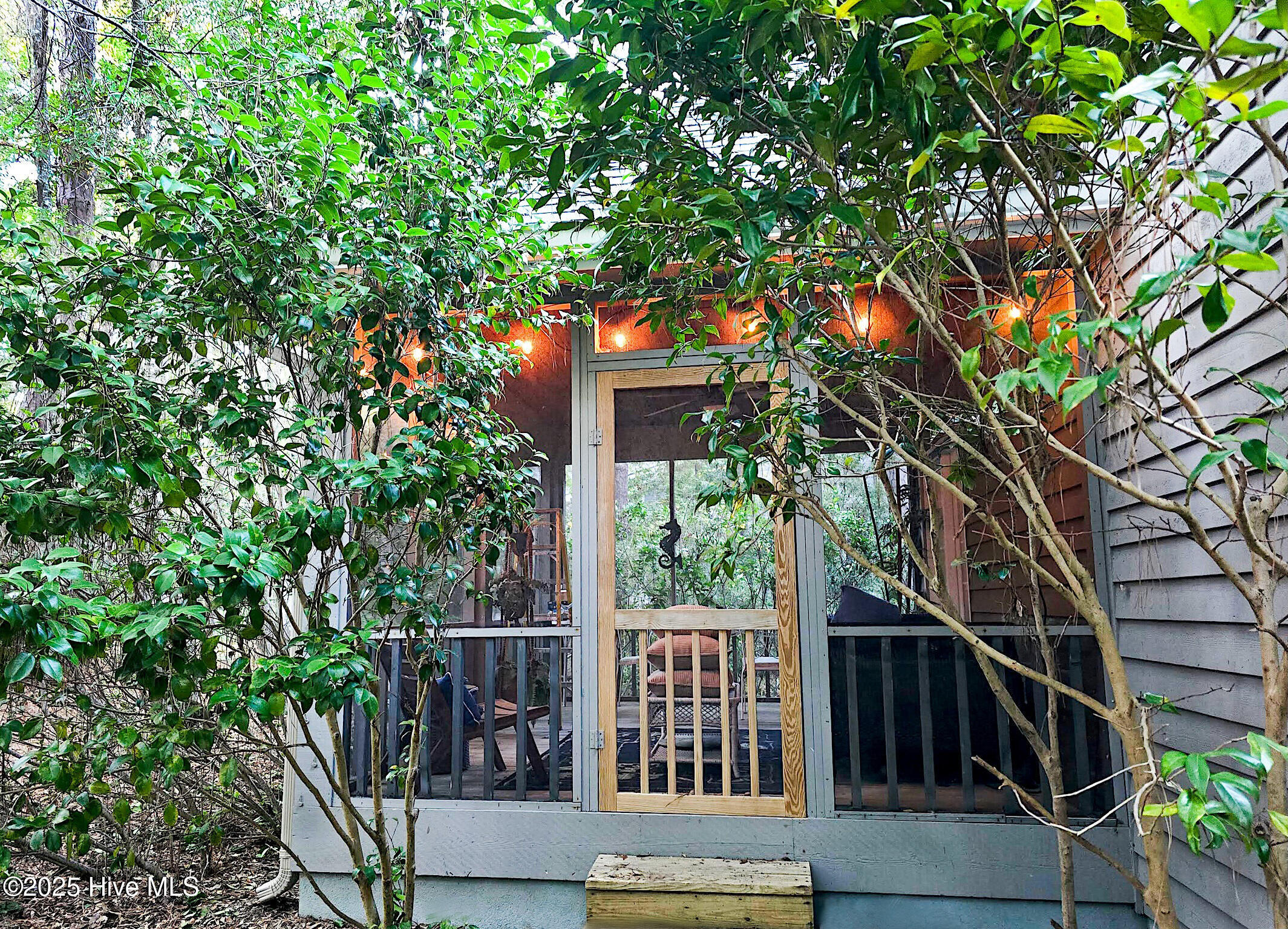 6253 Cattail Court