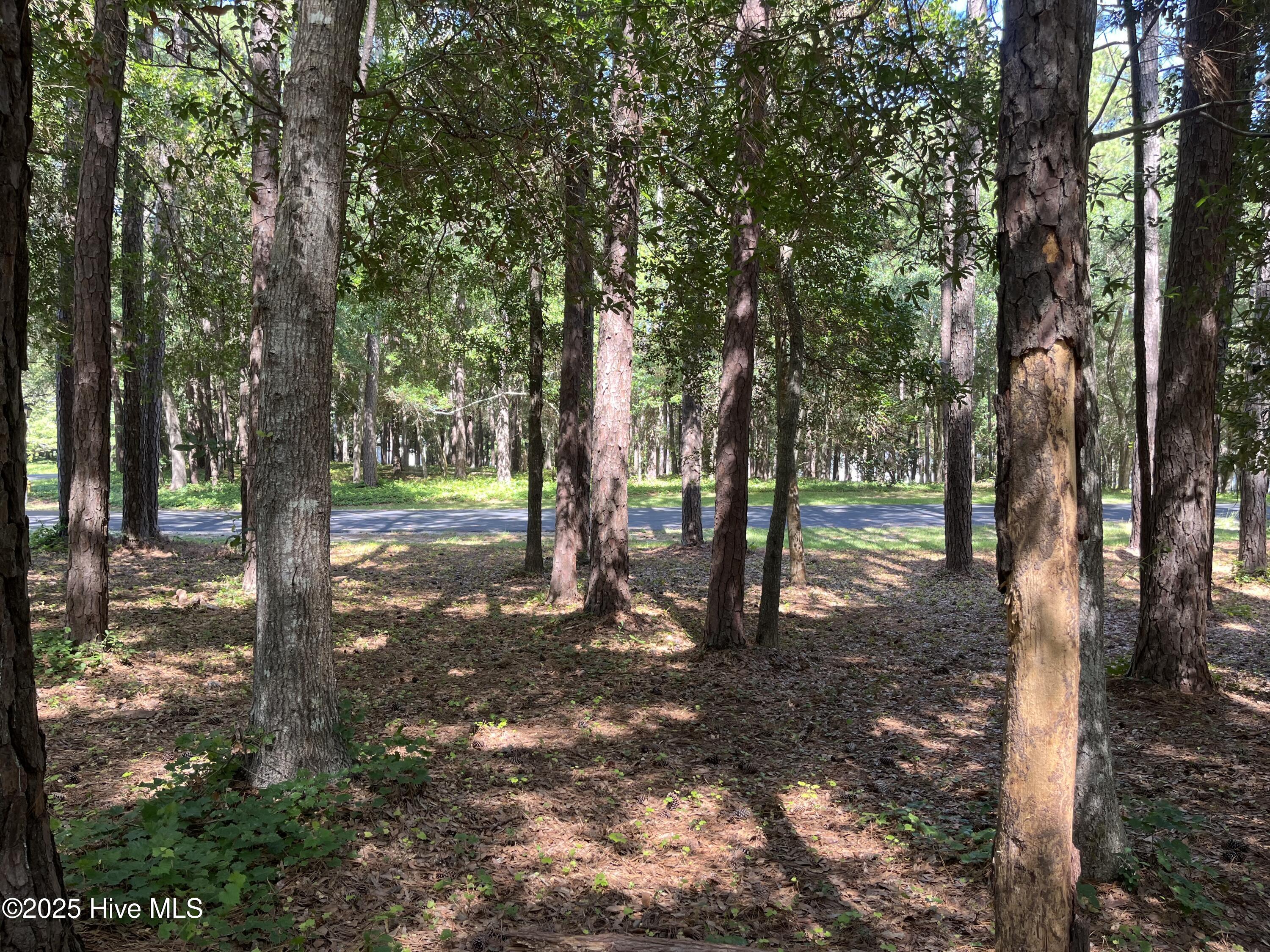 654 Folly Drive
