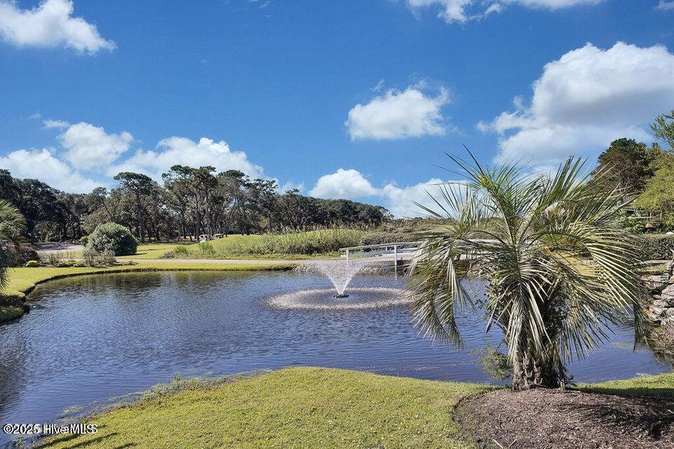 119 Flowering Bridge Path