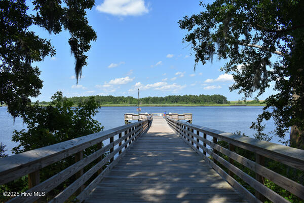 1009 Stonesthrow Court