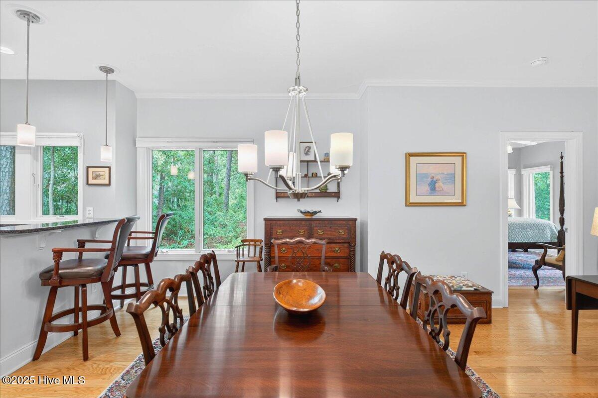 804 Indigo Village Court