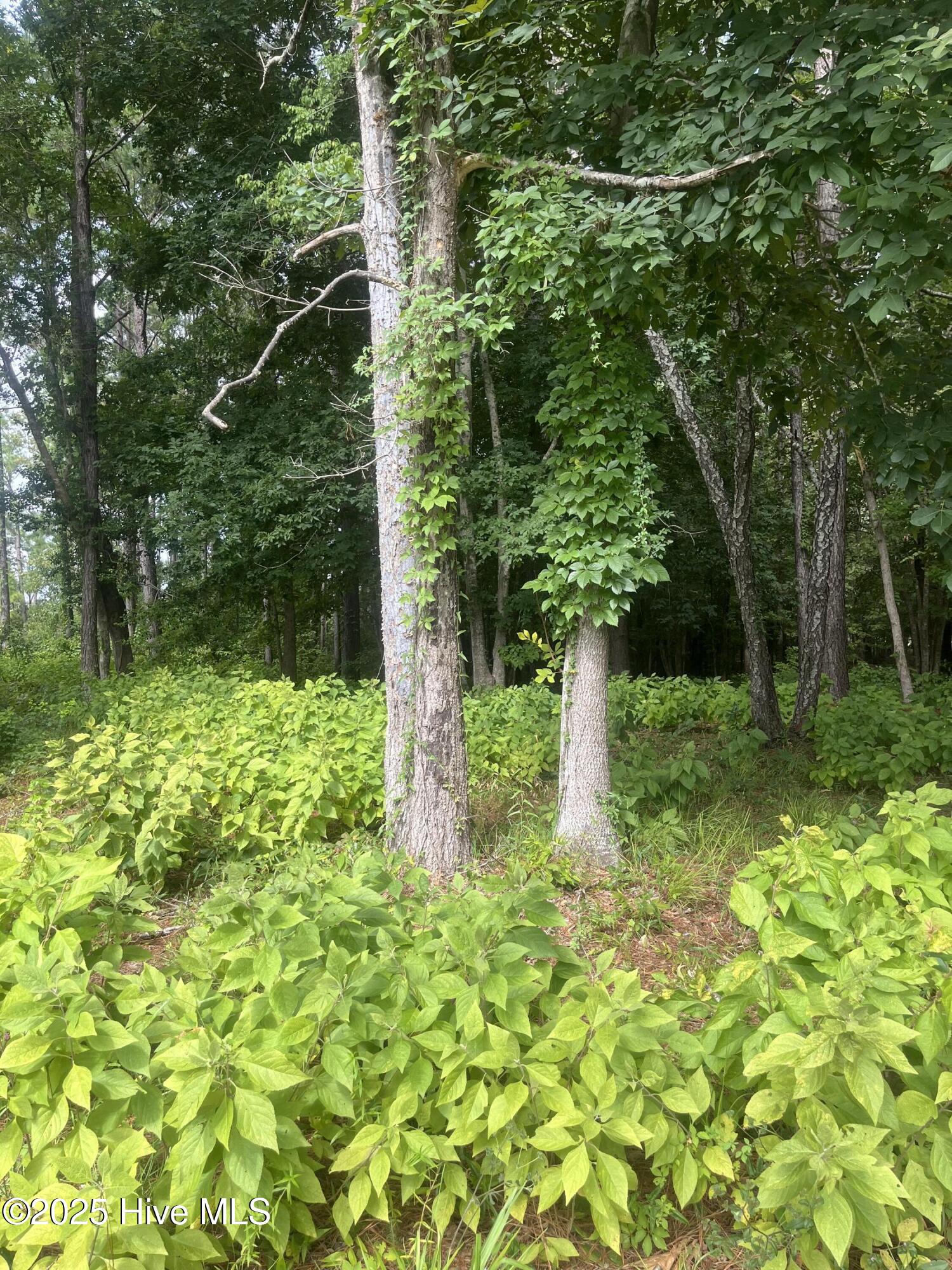 714 Cedarhurst Drive SE