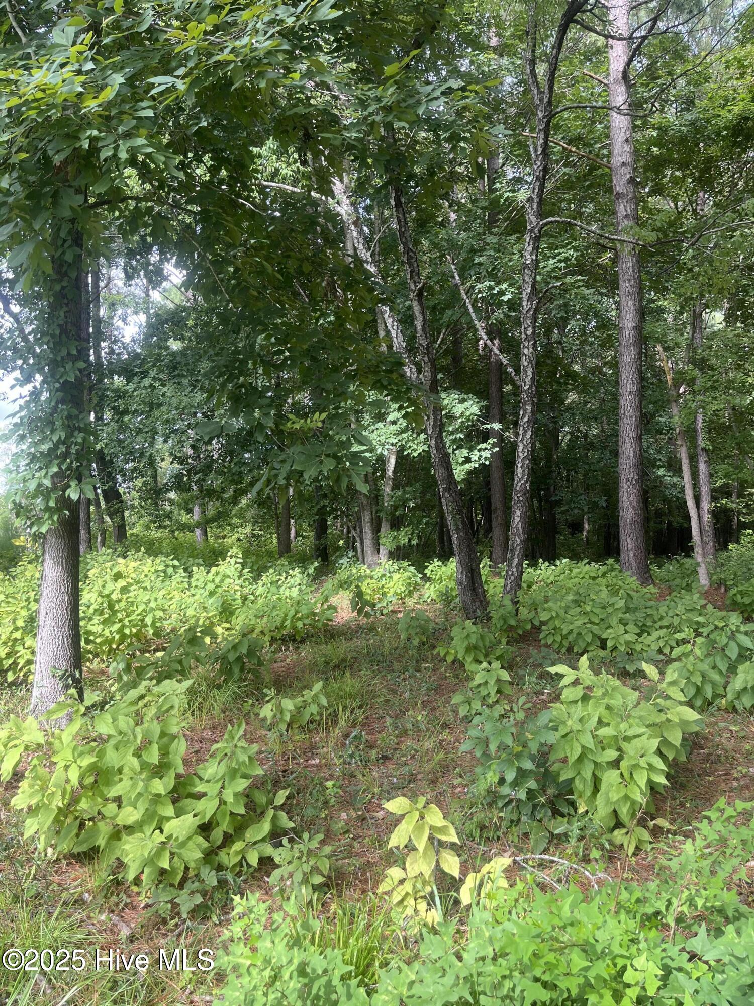 714 Cedarhurst Drive SE