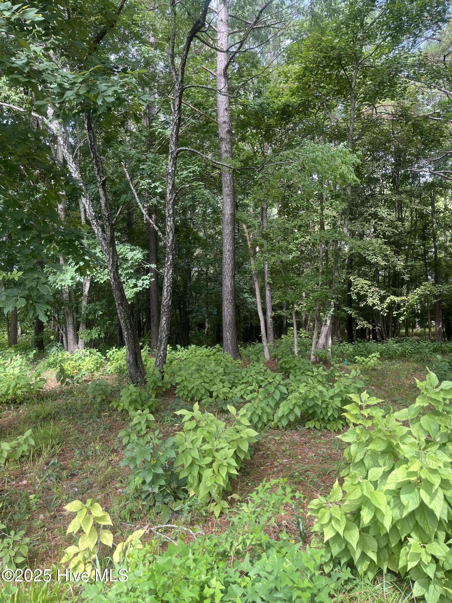 714 Cedarhurst Drive SE