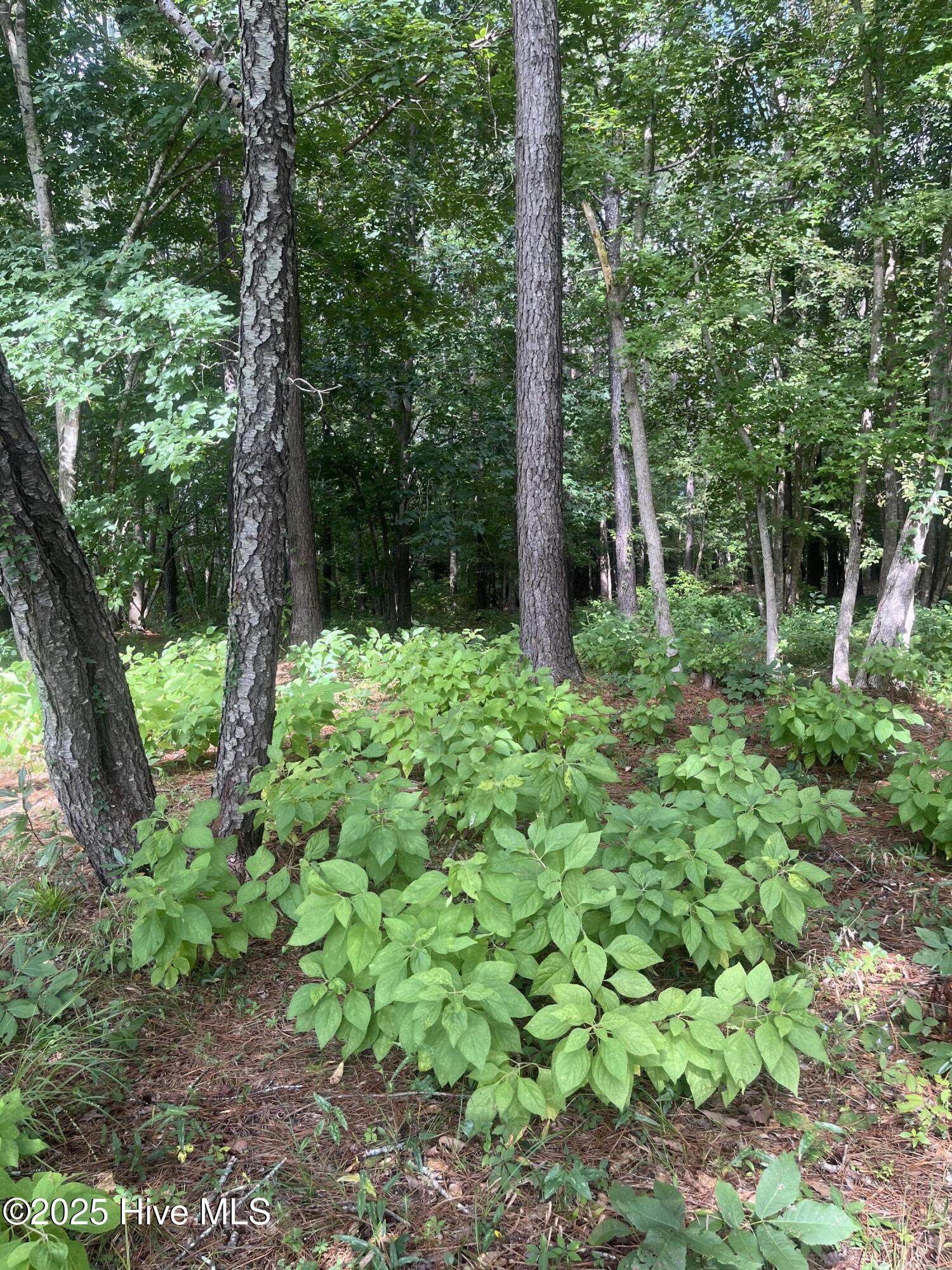 714 Cedarhurst Drive SE