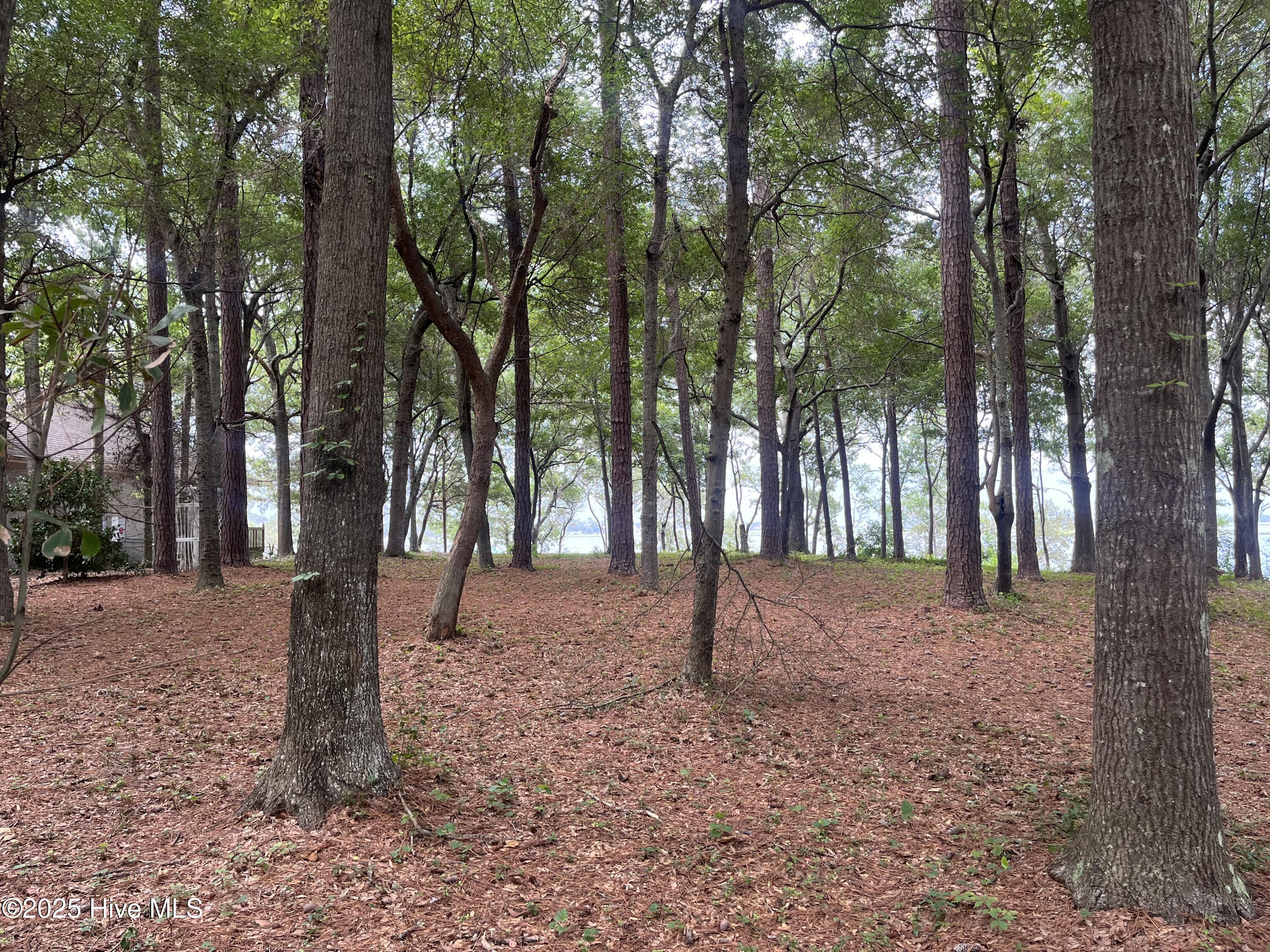 3260 Mullet Creek Place SE