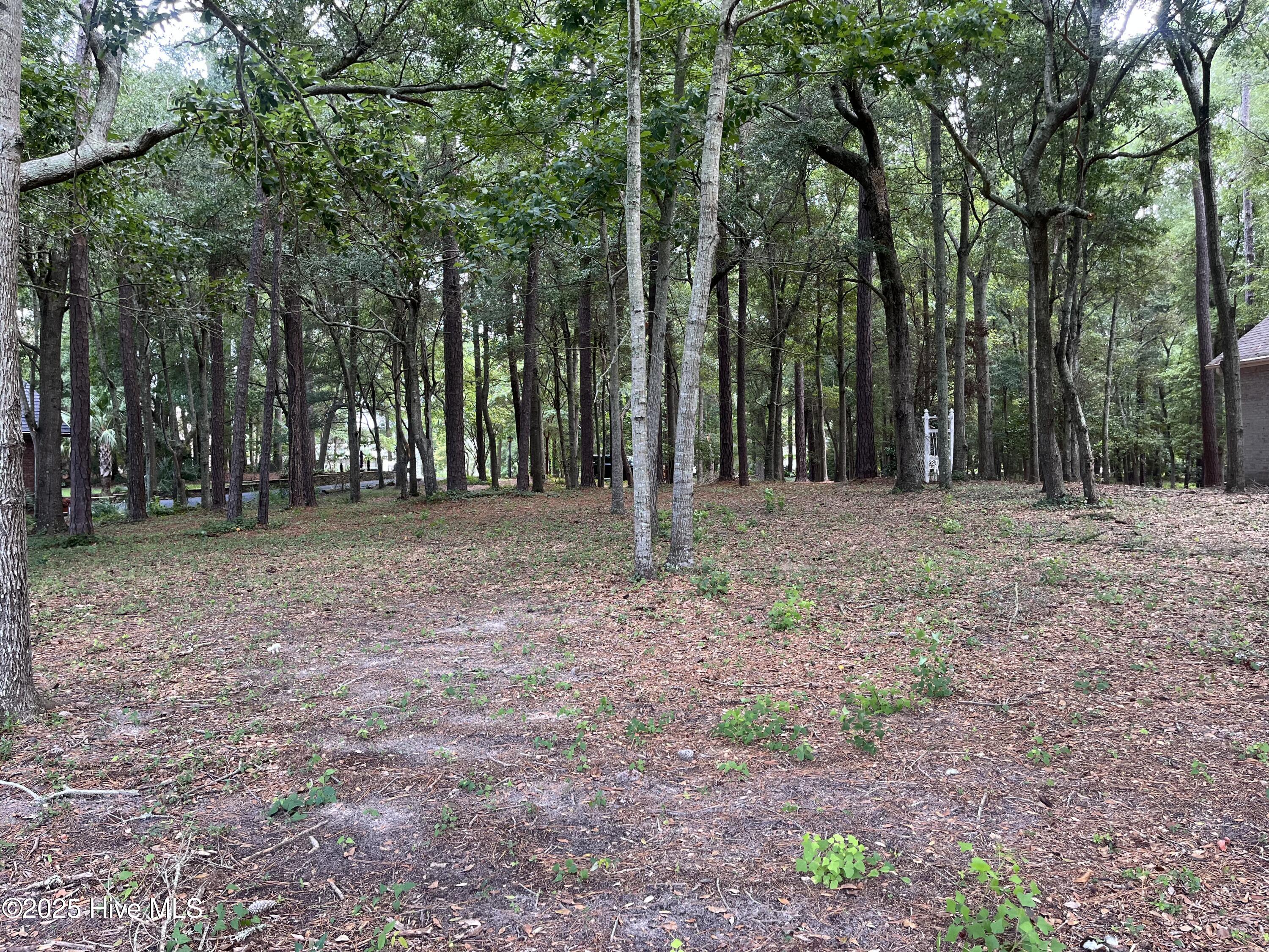 3260 Mullet Creek Place SE