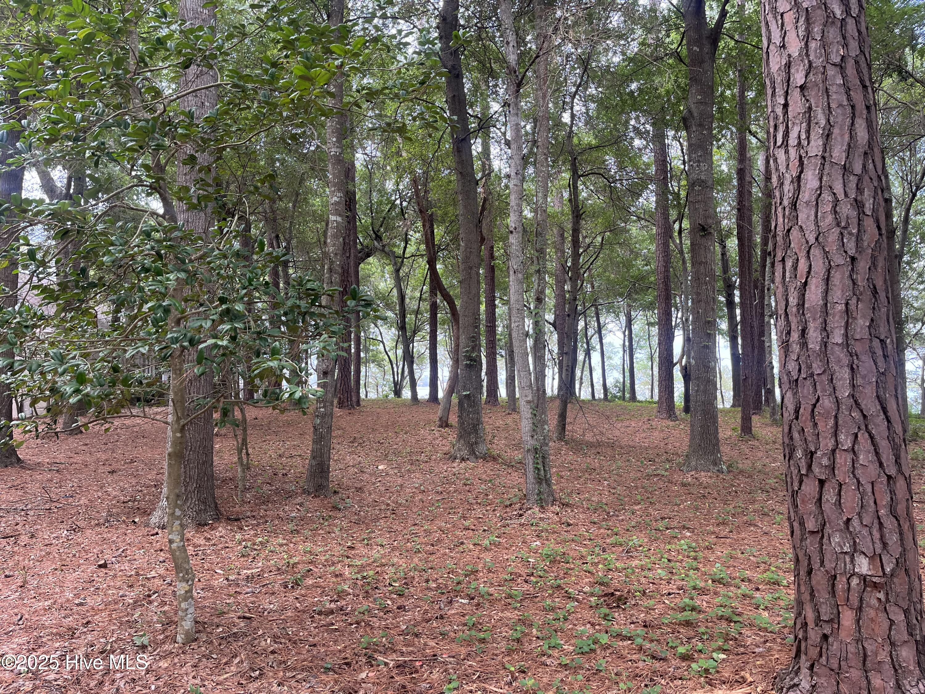 3260 Mullet Creek Place SE