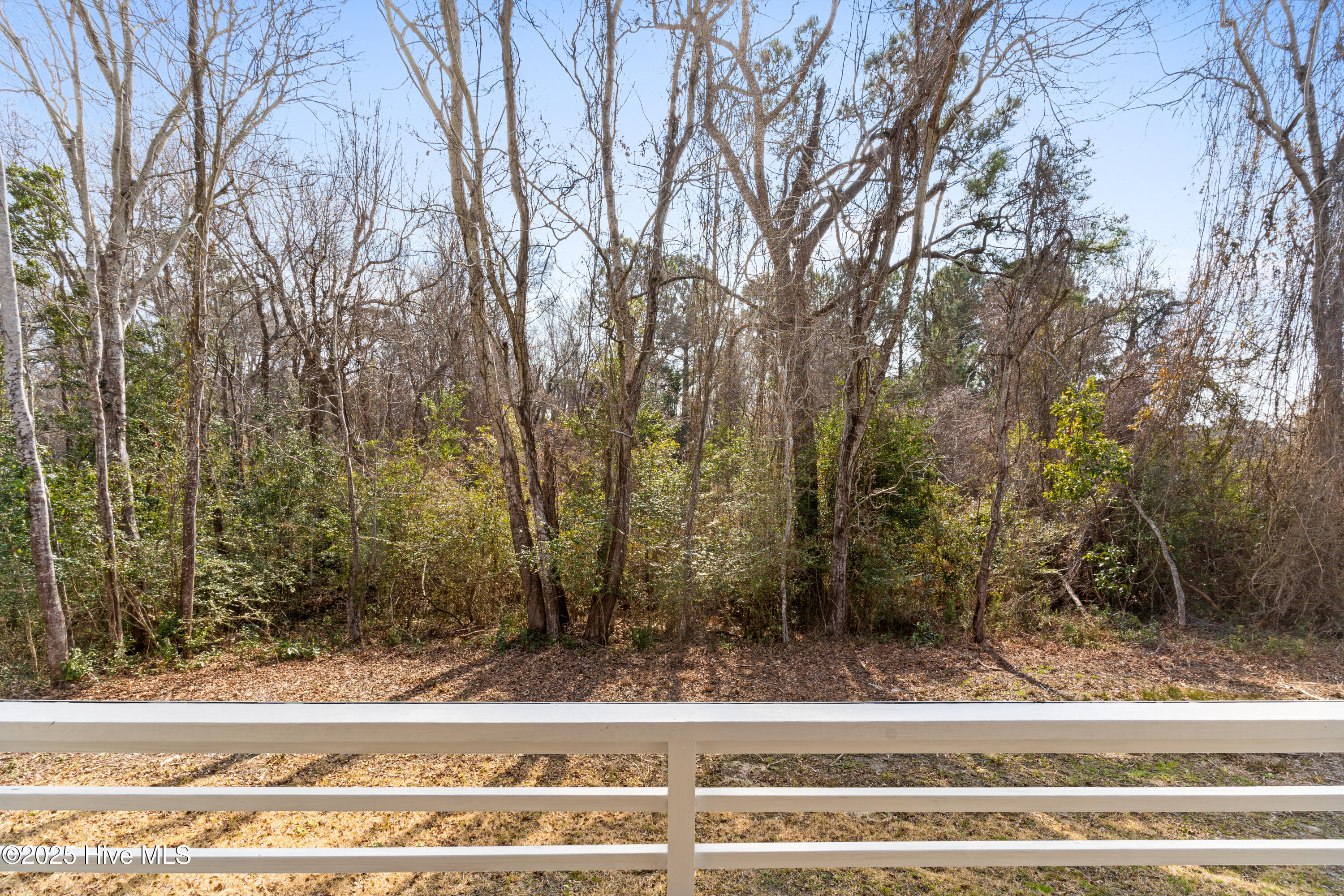 5975 Gray Squirrel Path