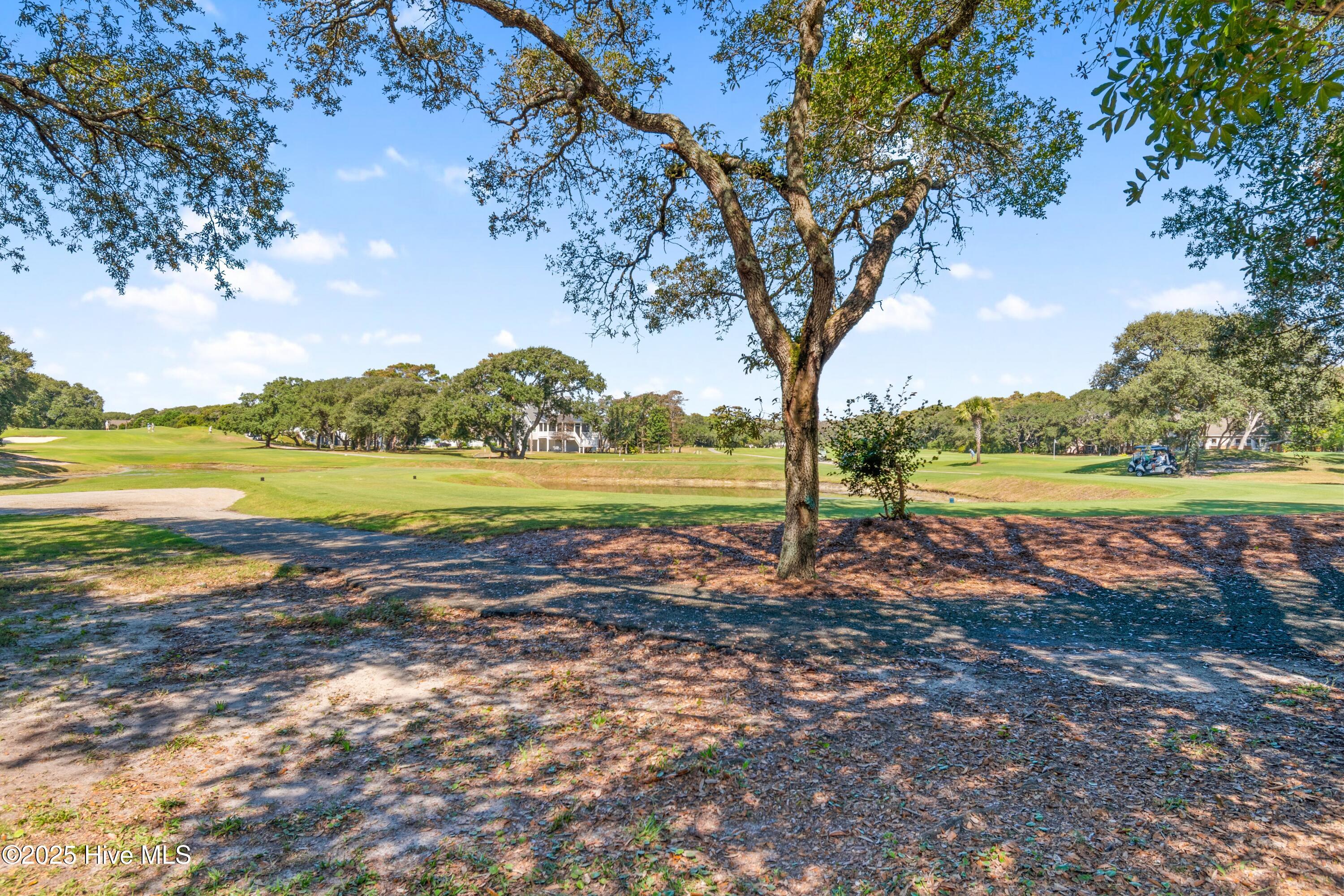 98 Foxfire Trace