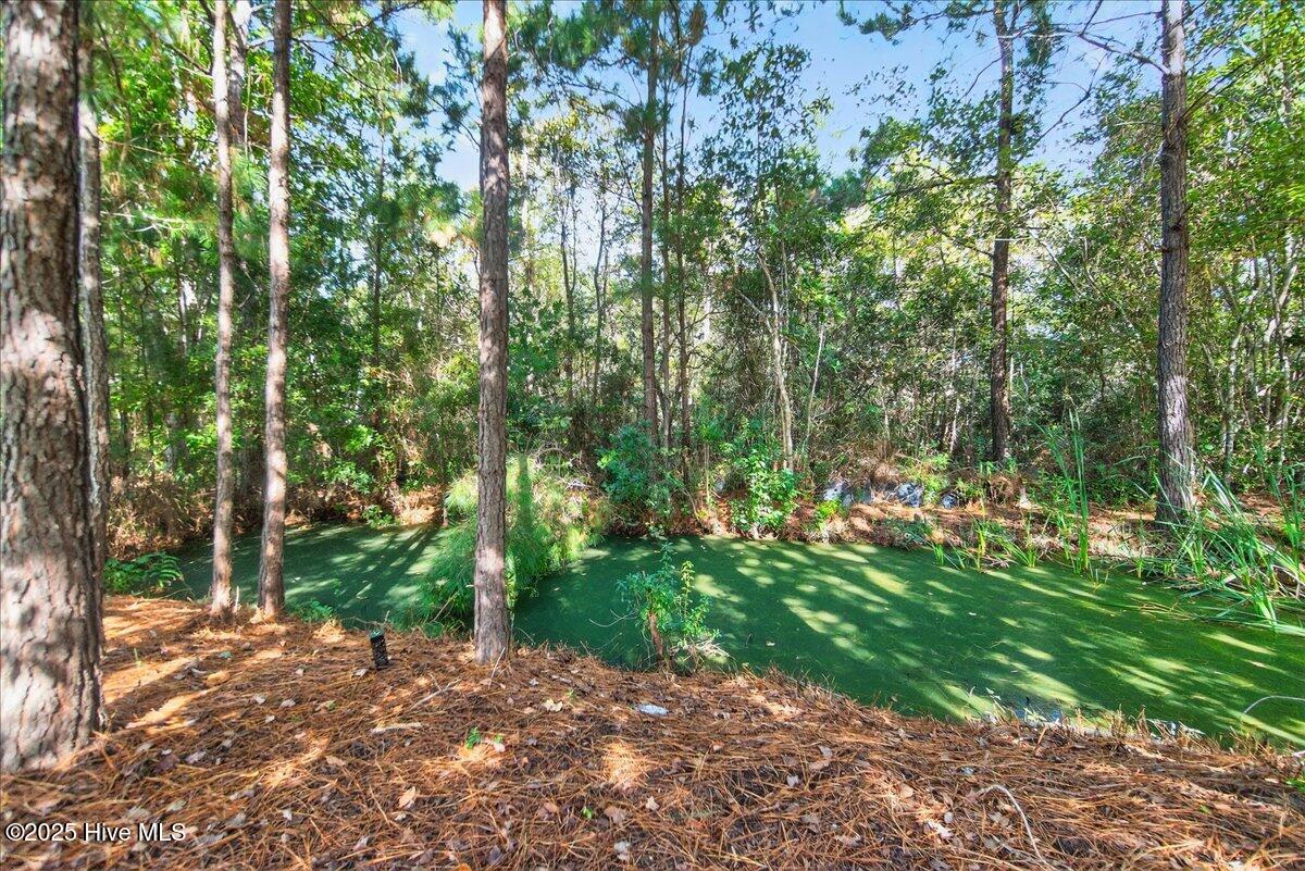 1432 Judith Drive SE, Bolivia