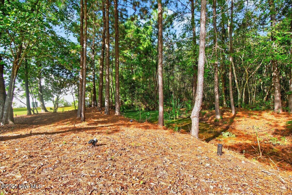 1432 Judith Drive SE, Bolivia