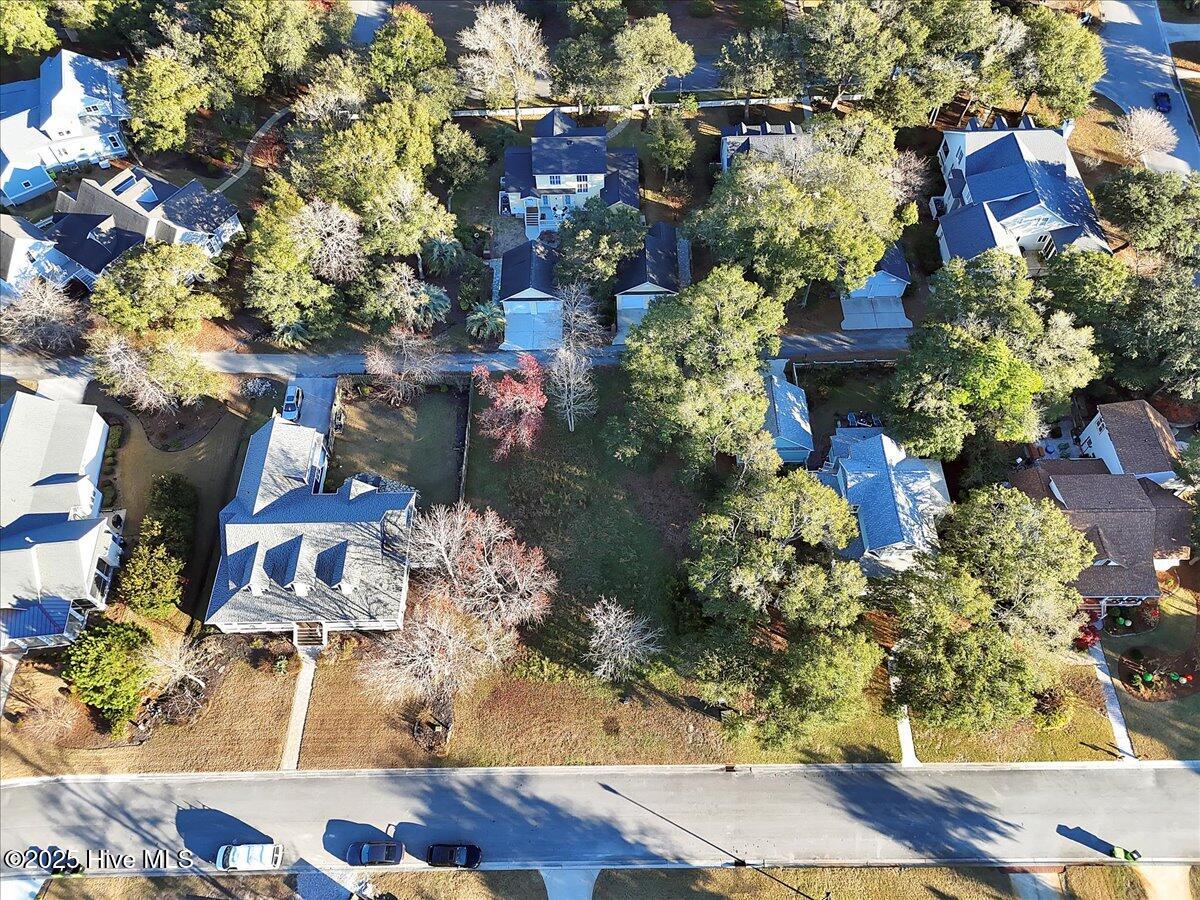 5104 Hollow Tree Drive