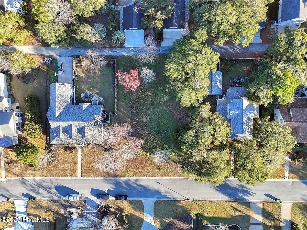 5104 Hollow Tree Drive