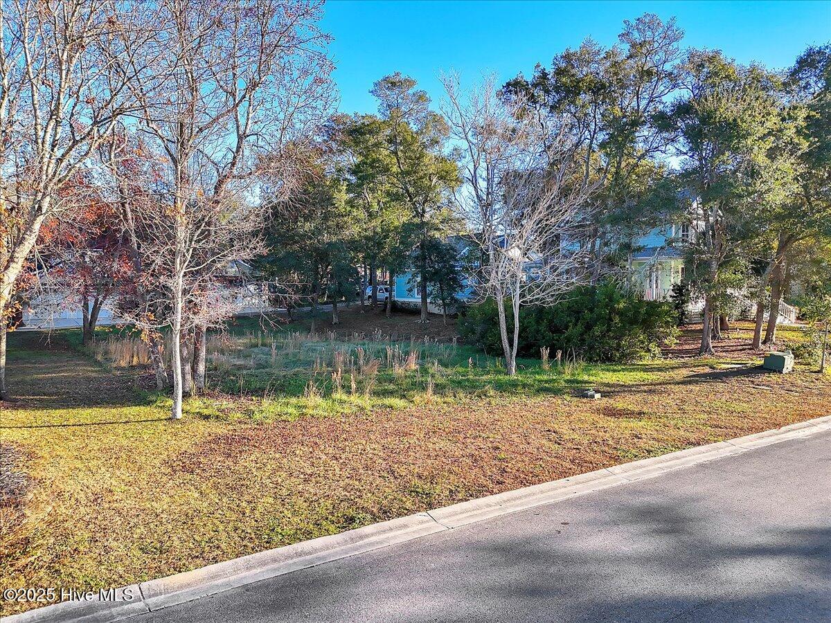 5104 Hollow Tree Drive