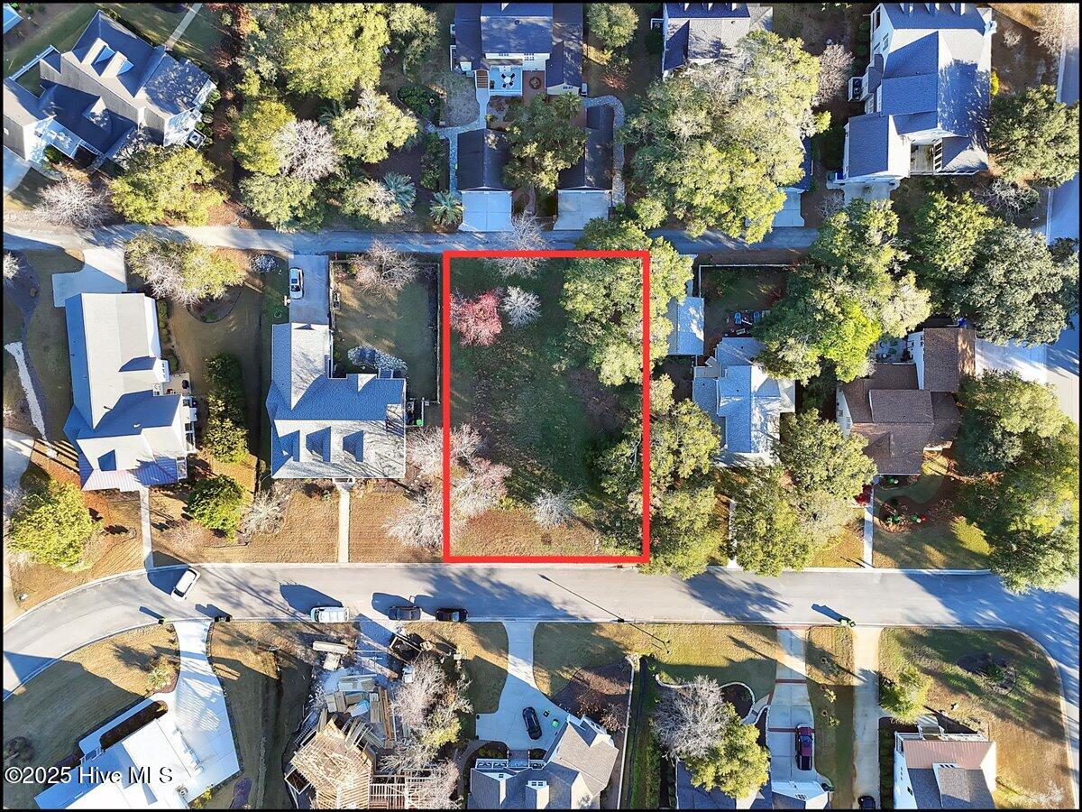 5104 Hollow Tree Drive