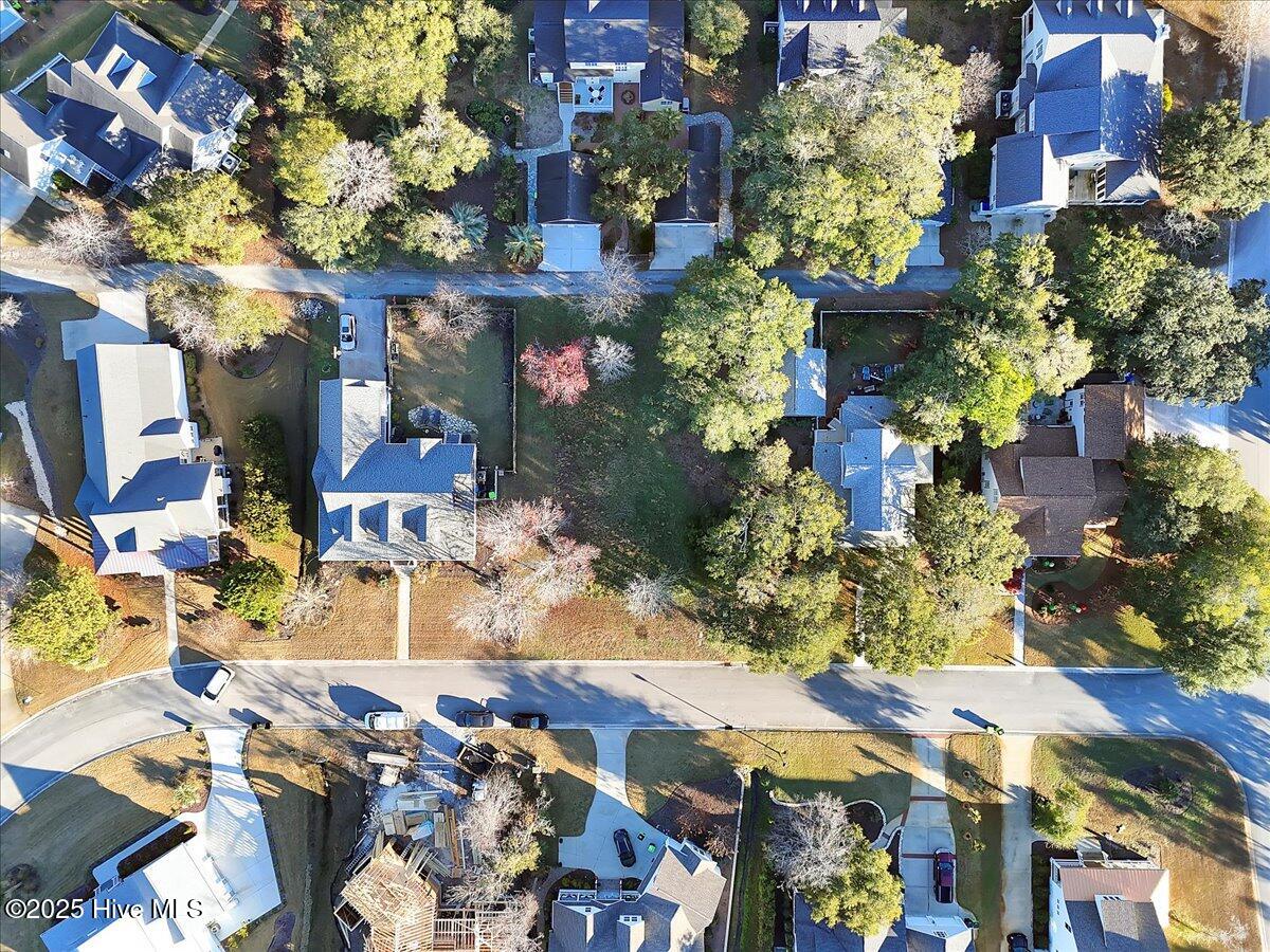 5104 Hollow Tree Drive