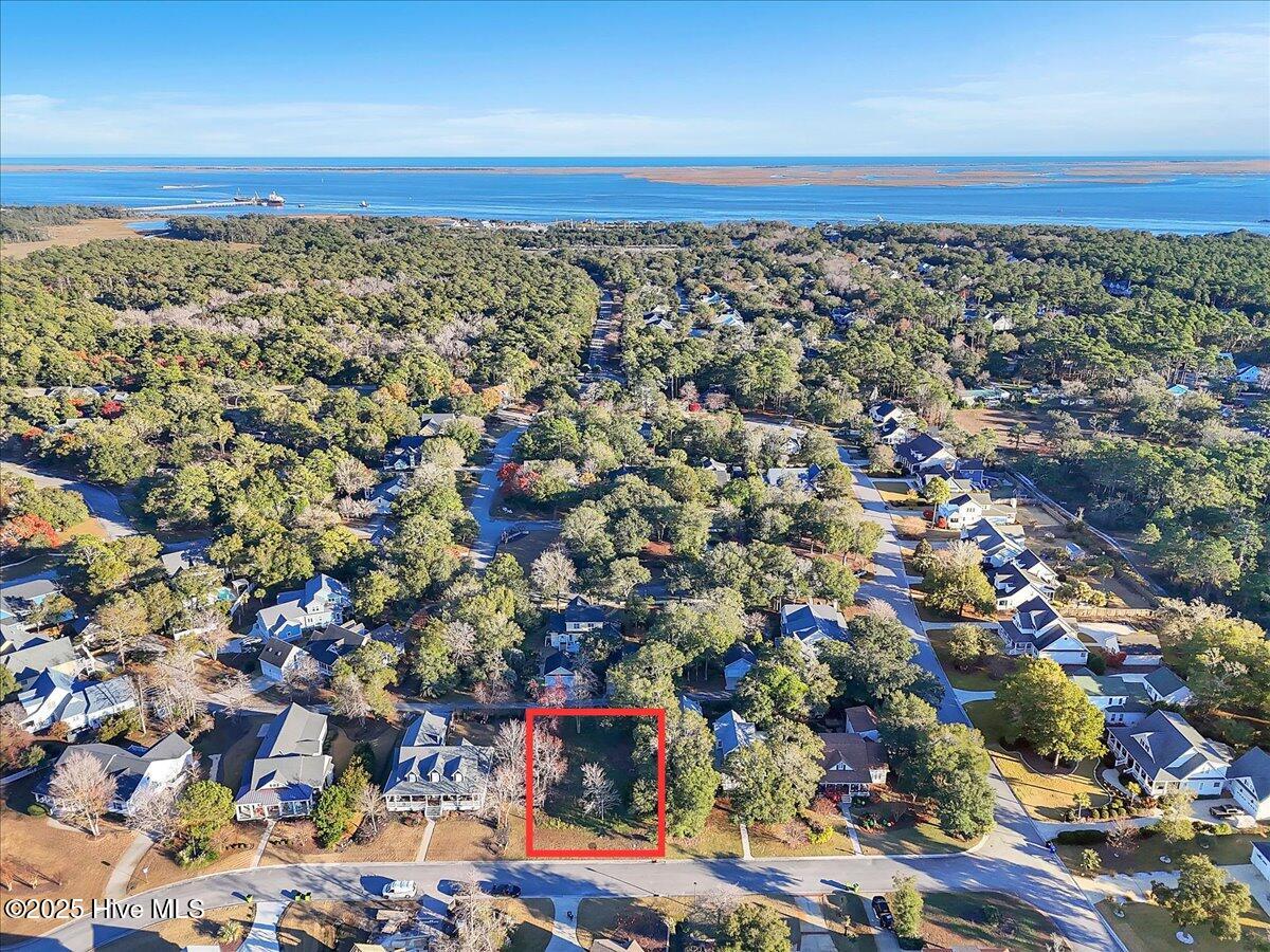 5104 Hollow Tree Drive