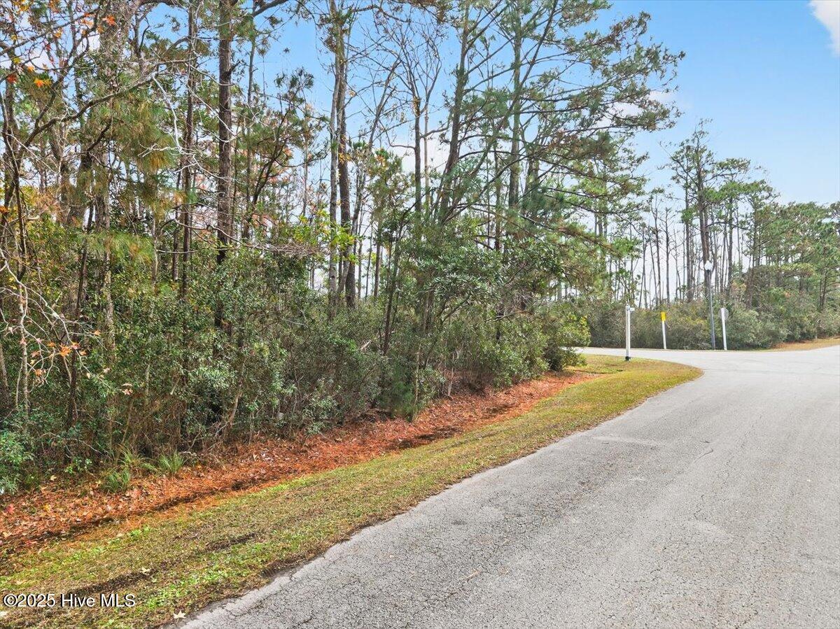Lot 50 Carolina Bay Court