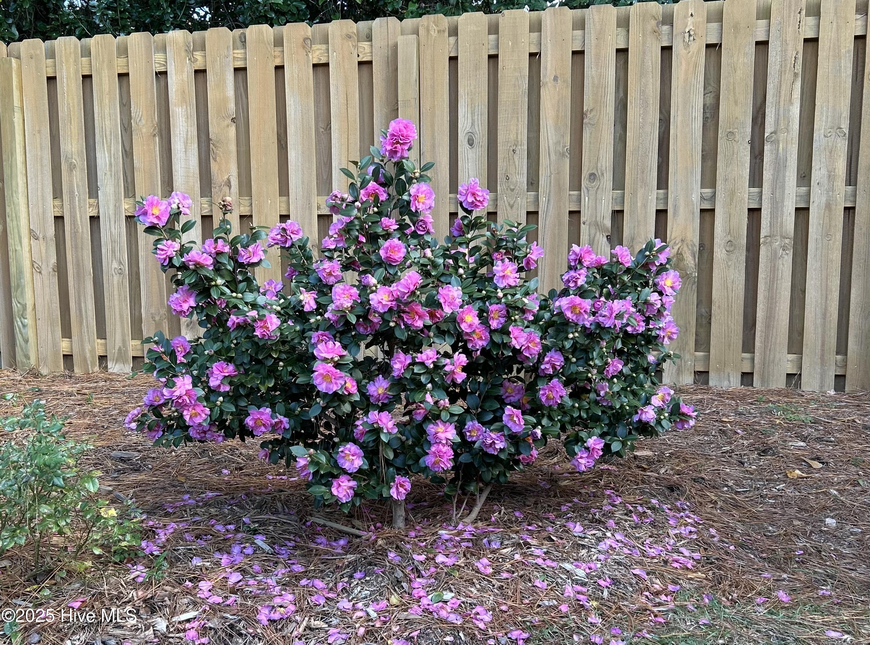 928 Bobby Brown Circle